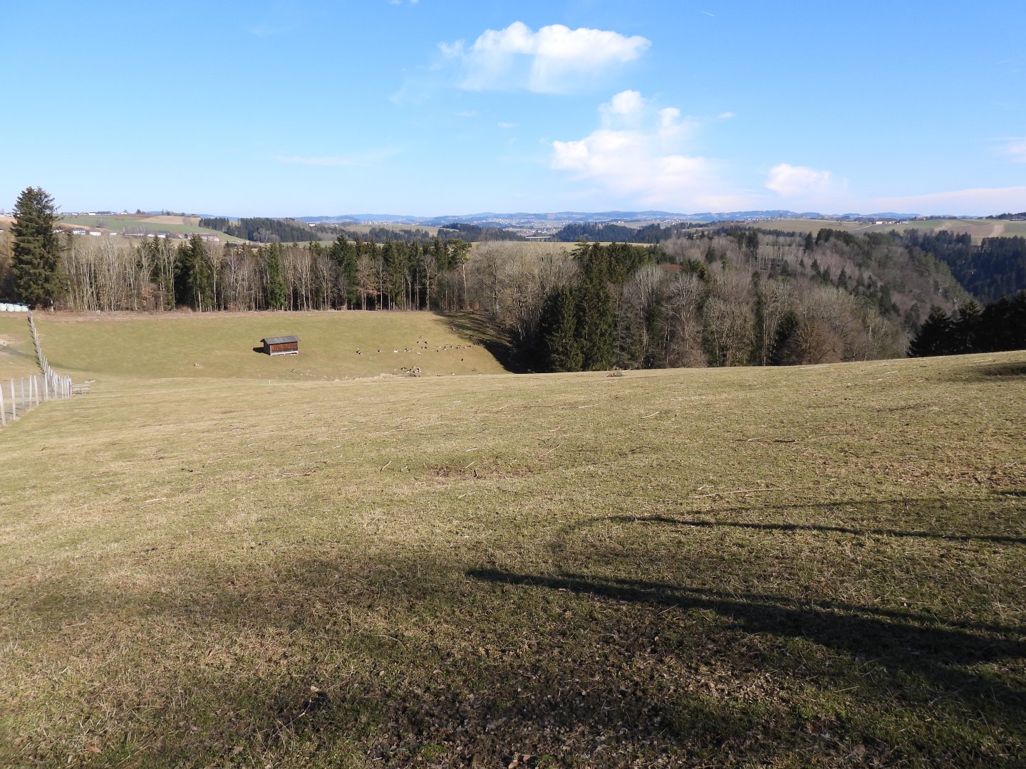 Tierpark Altenfelden - Fallow deer exhibit