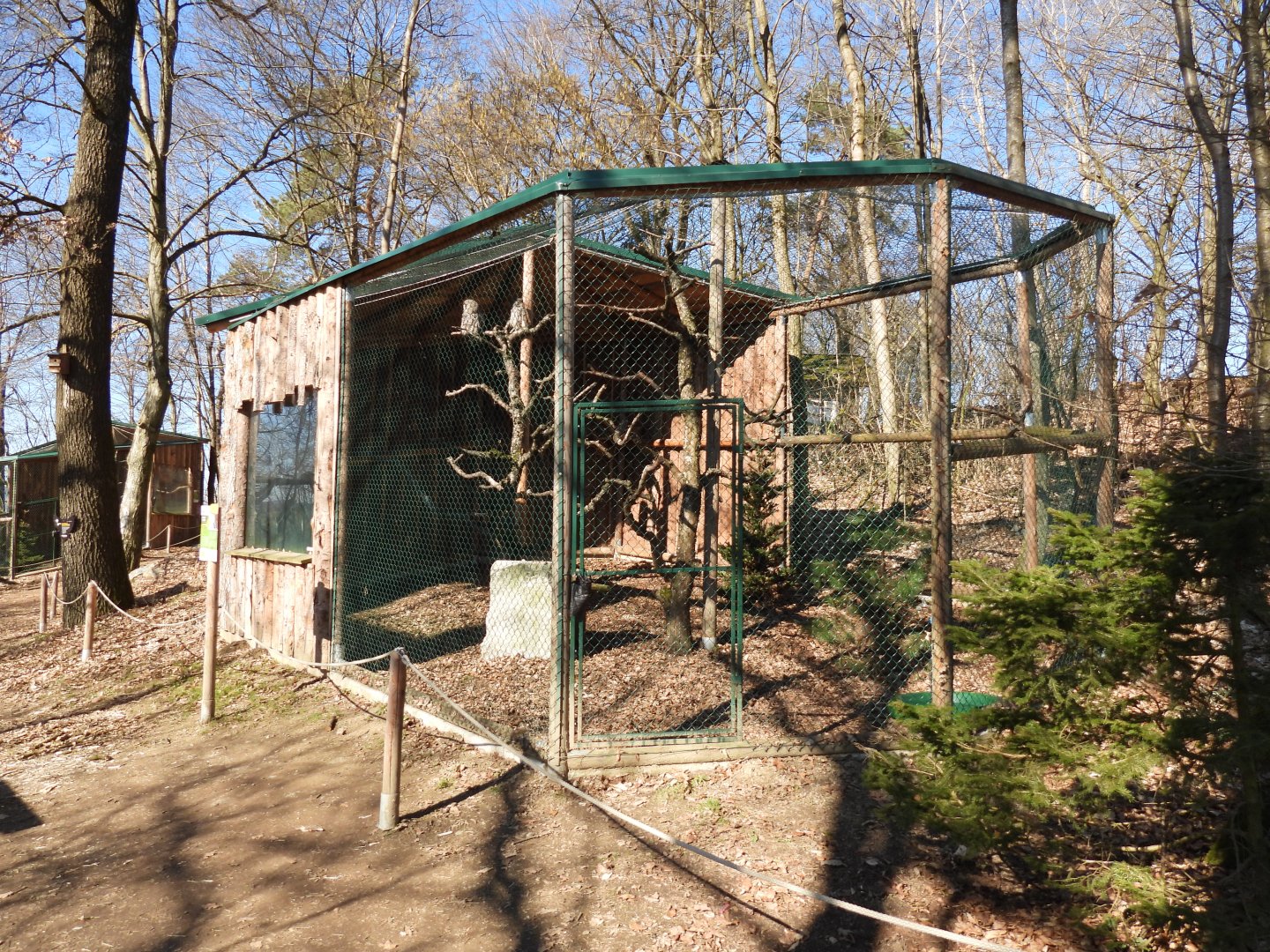 Tierpark Altenfelden - Great grey owl aviary