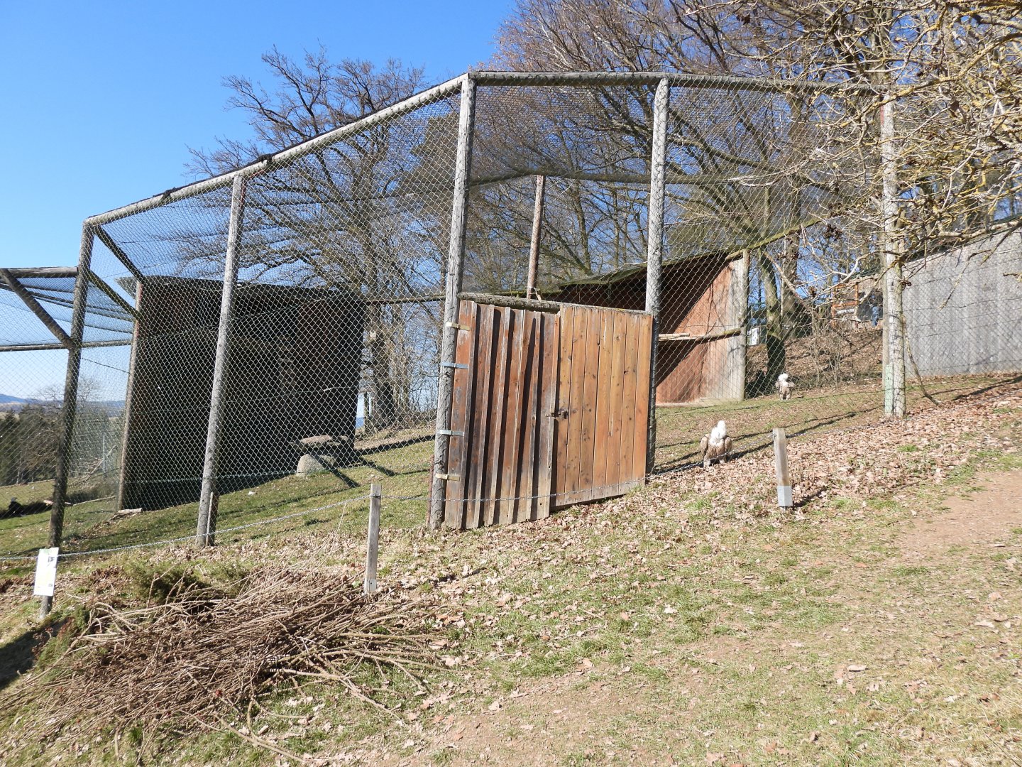 Tierpark Altenfelden - Griffon vulture aviary