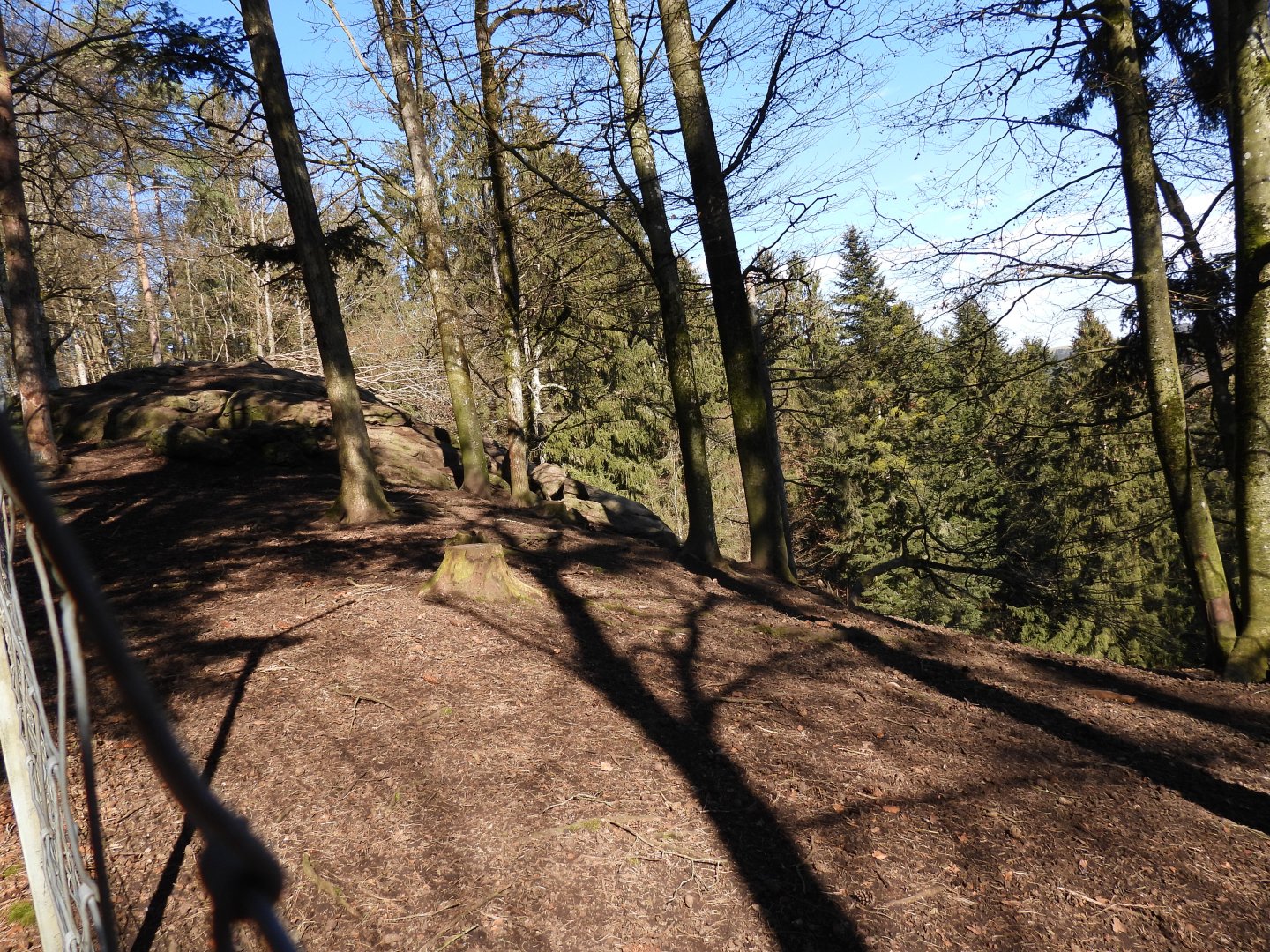 Tierpark Altenfelden - Himalayan thar exhibit