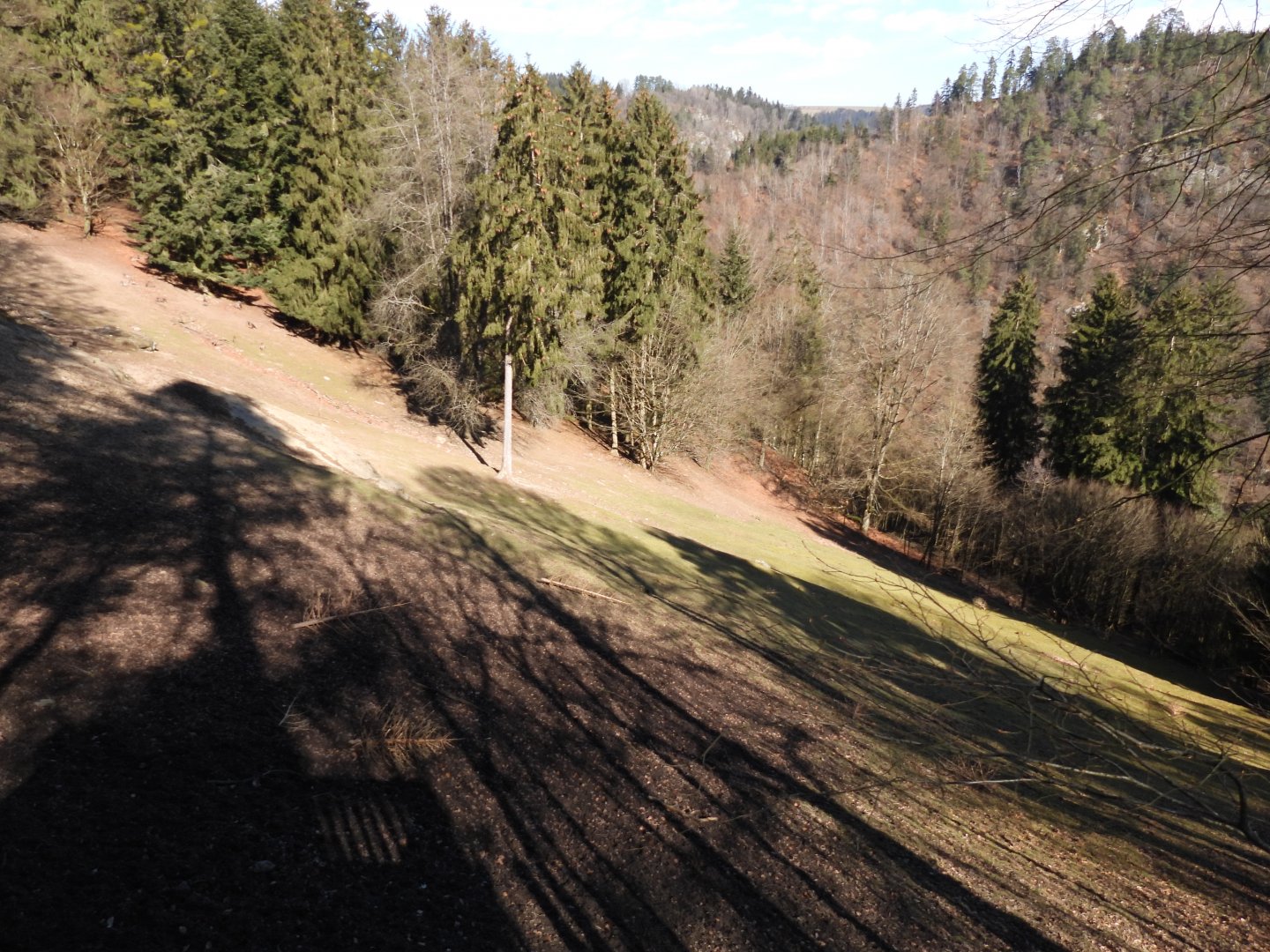 Tierpark Altenfelden - Himalayan thar exhibit
