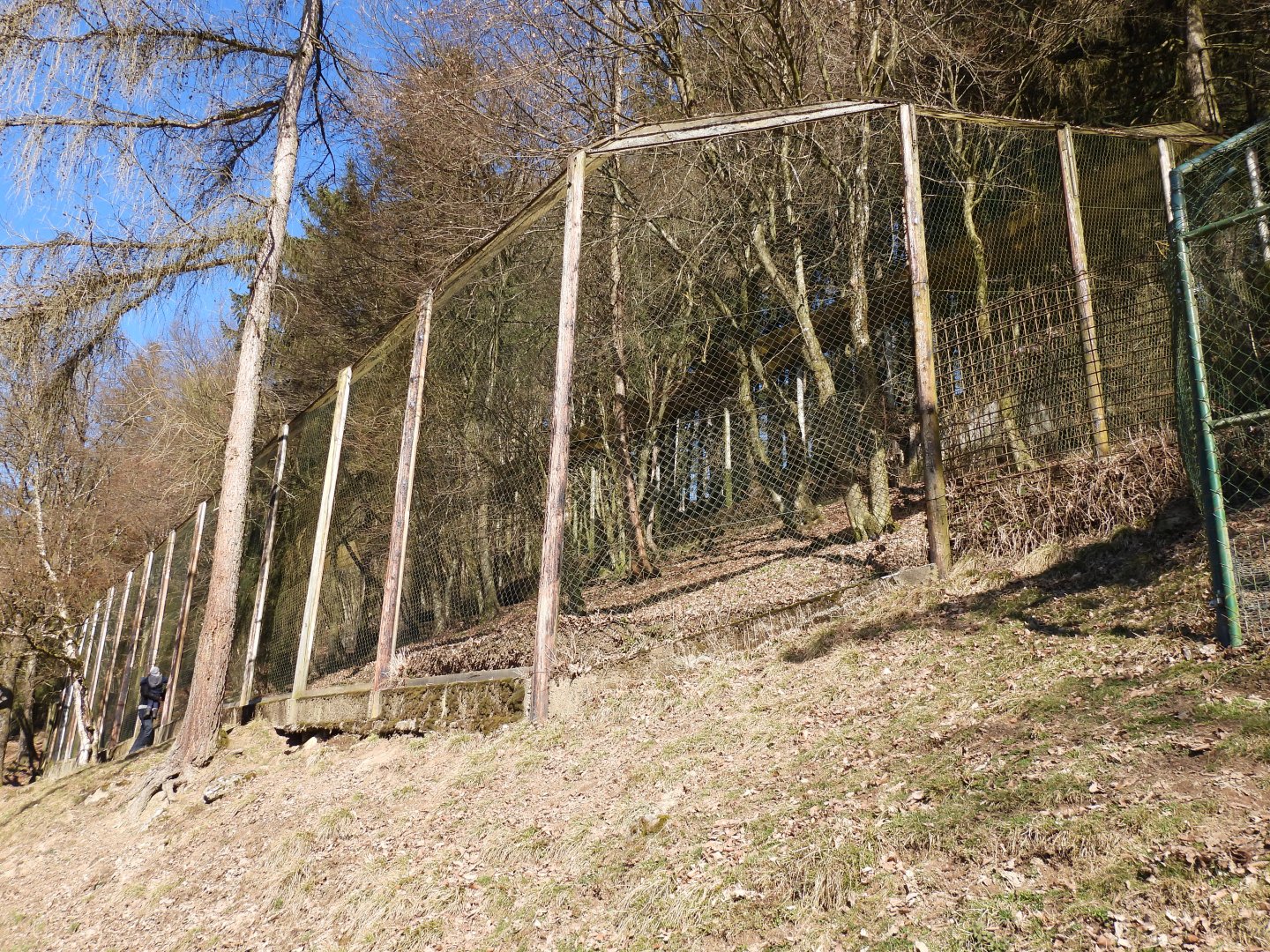 Tierpark Altenfelden - Lynx exhibit