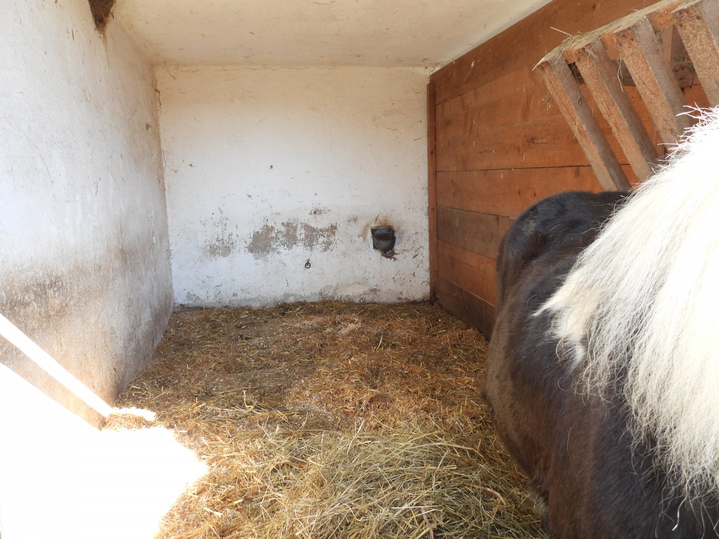 Tierpark Altenfelden - One of the horse stables