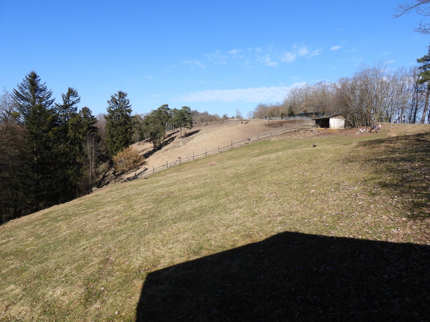 Tierpark Altenfelden - Paddock for Guanaco & Domestig goats