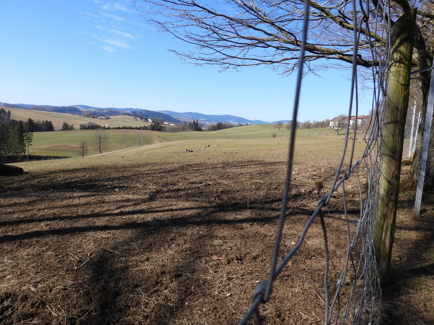Tierpark Altenfelden - Paddock for Sambar deer & Altai wapiti