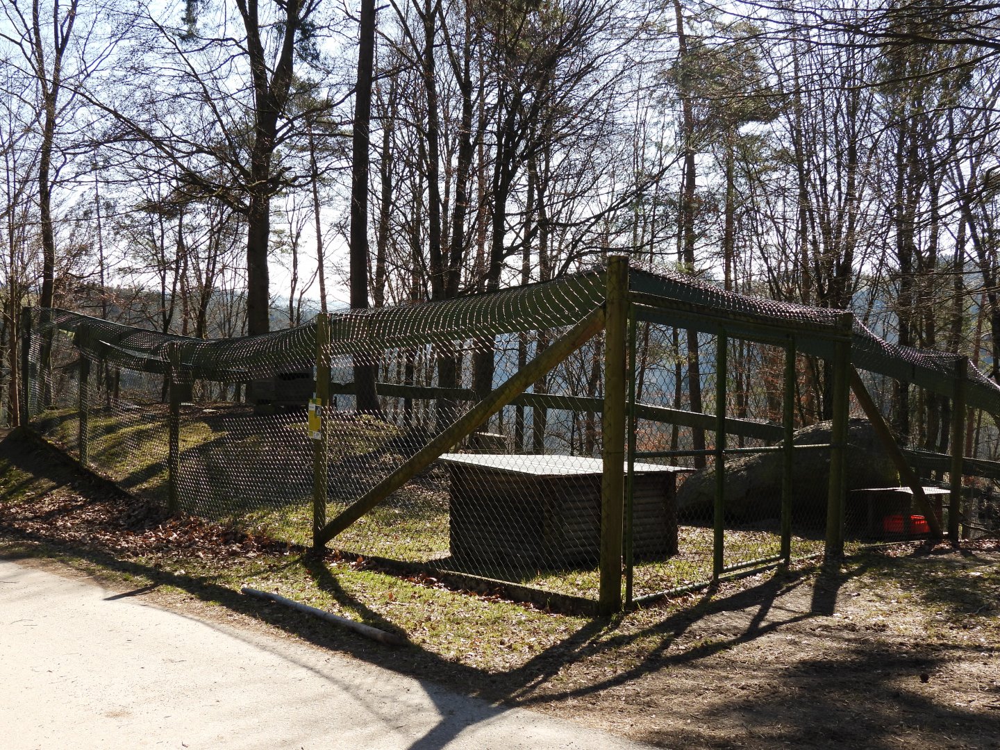Tierpark Altenfelden - Racoon exhibit