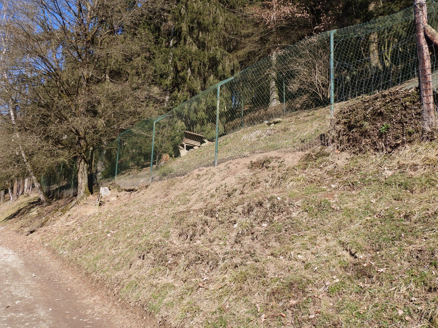 Tierpark Altenfelden - Red and silver fox exhibit