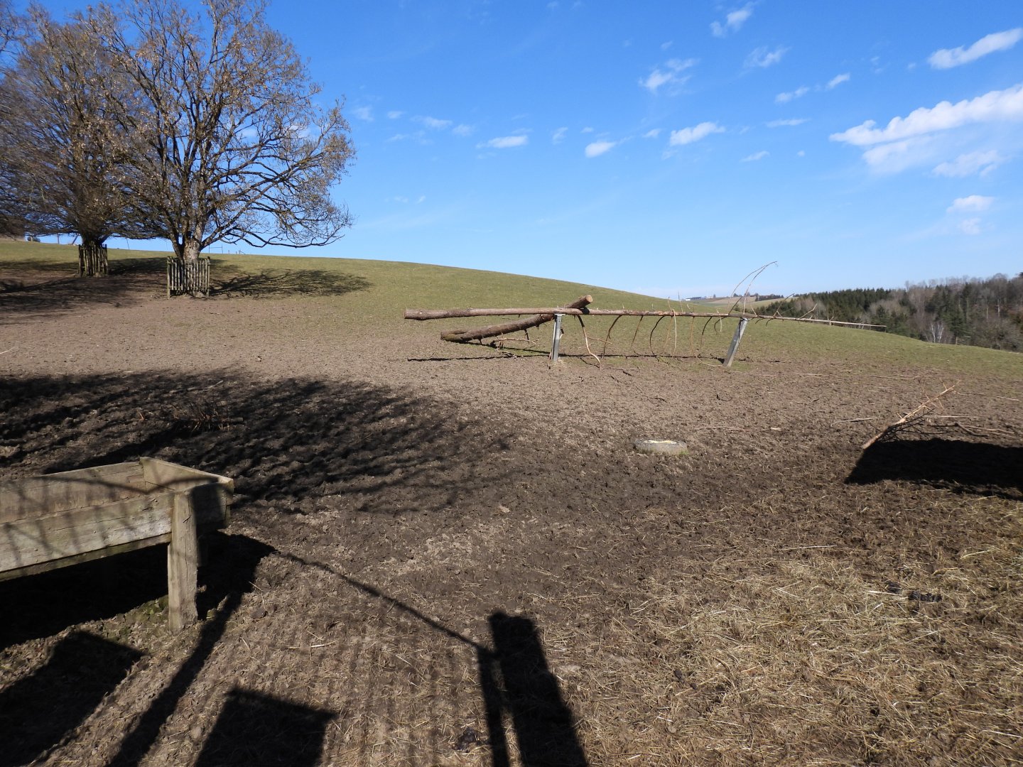 Tierpark Altenfelden - Red deer exhibit
