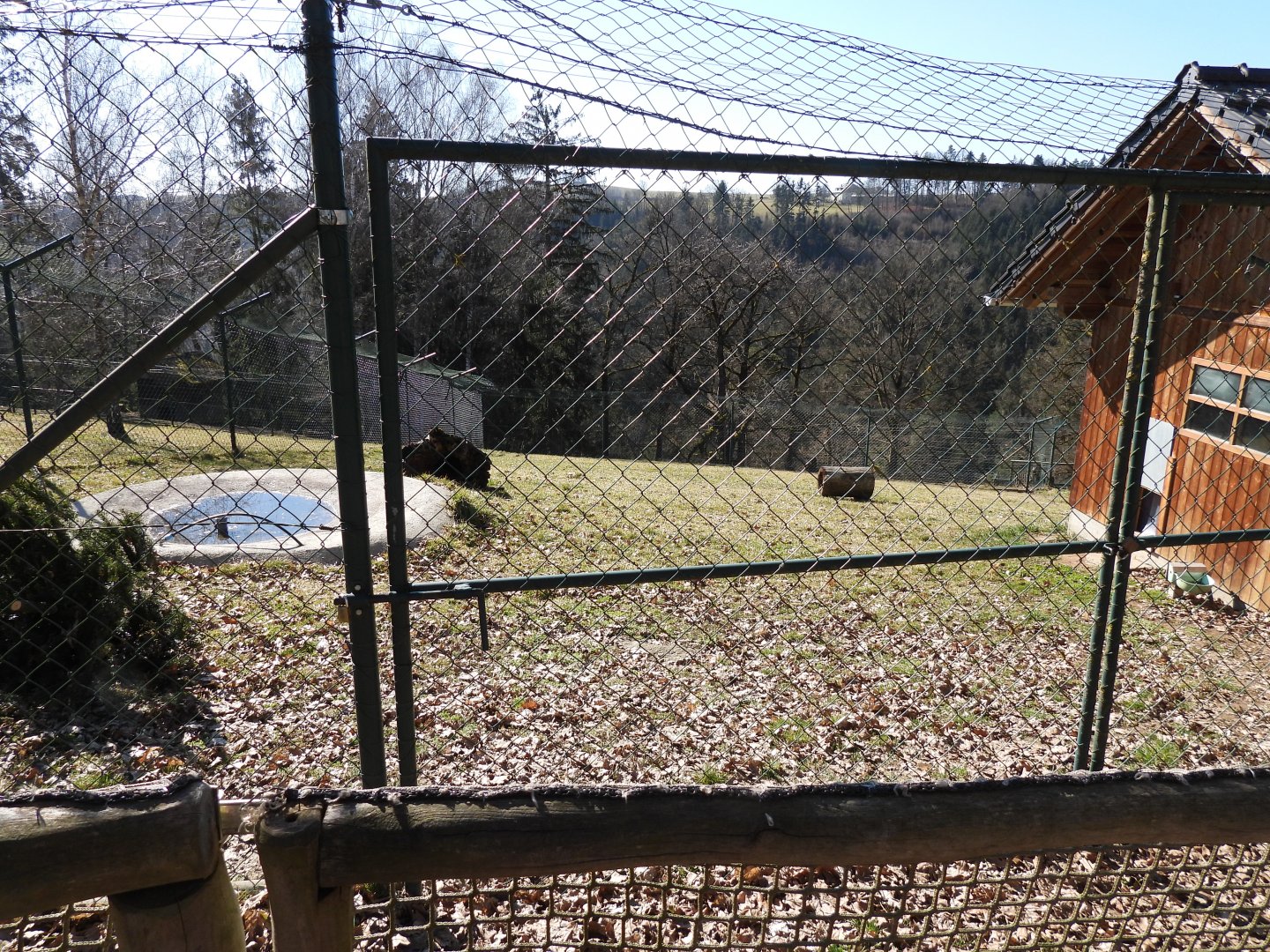 Tierpark Altenfelden - Serval exhibit