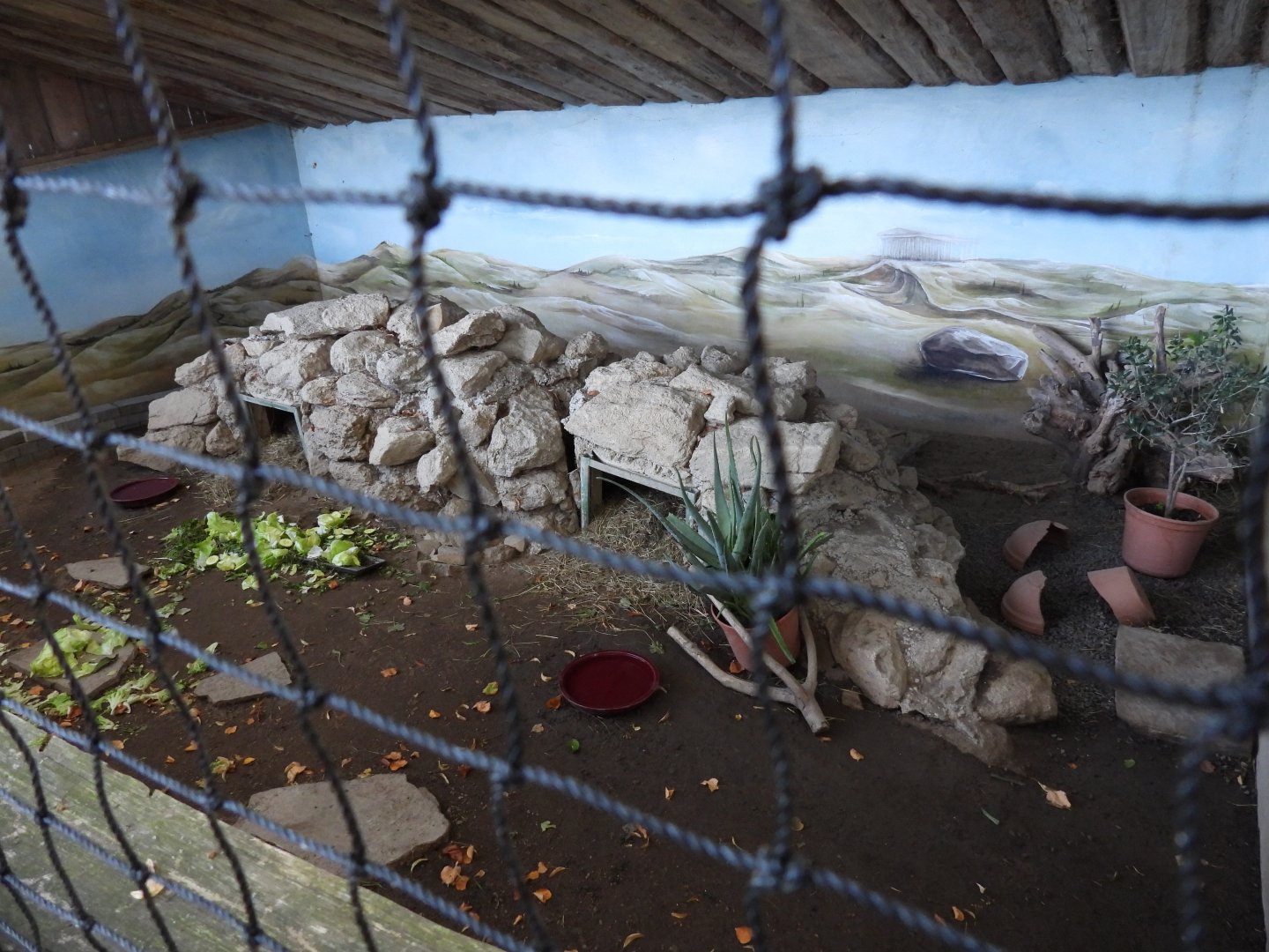 Tierpark Altenfelden - Tortoise exhibit