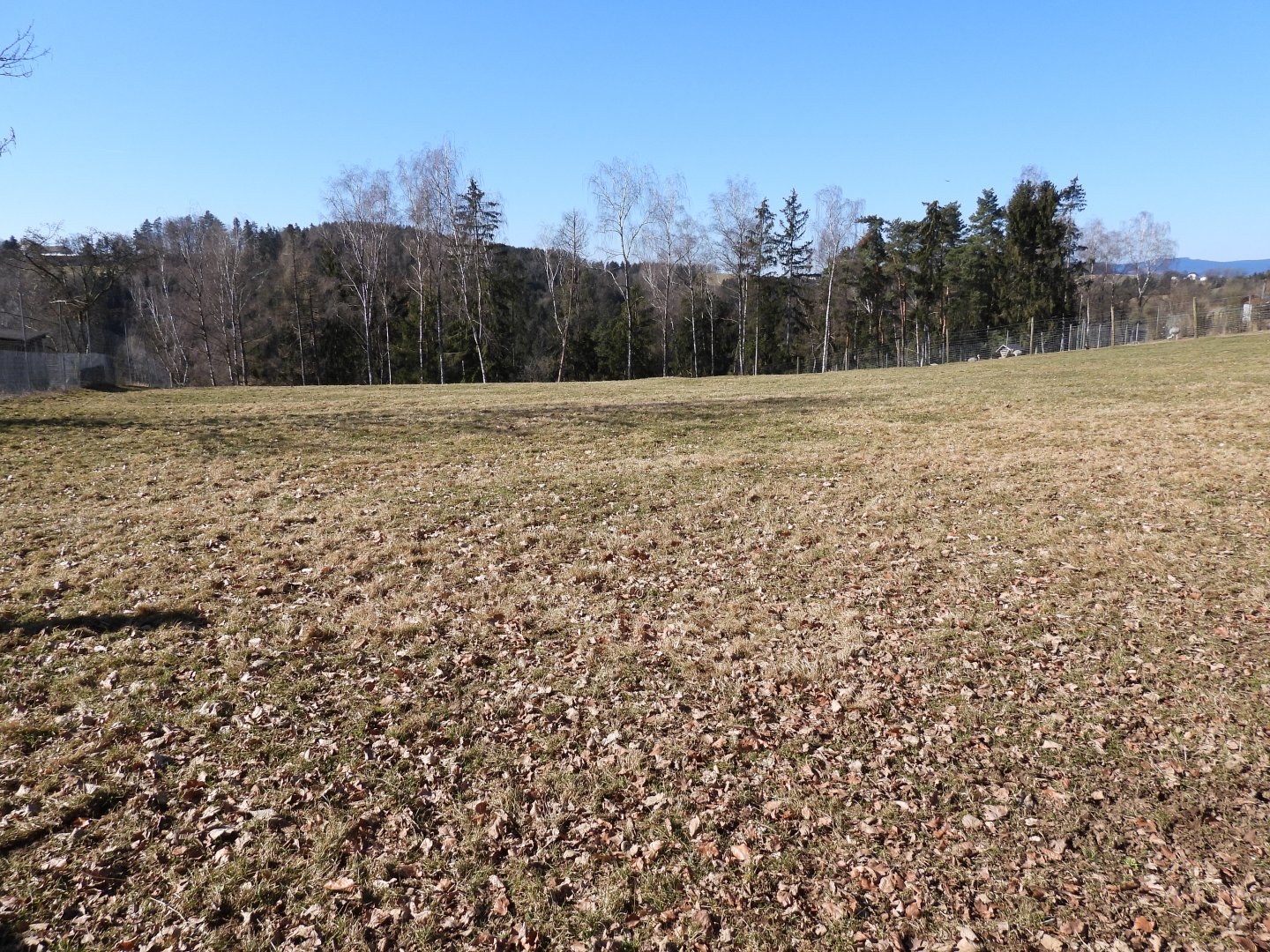 Tierpark Altenfelden - Wapiti/Elk exhibit