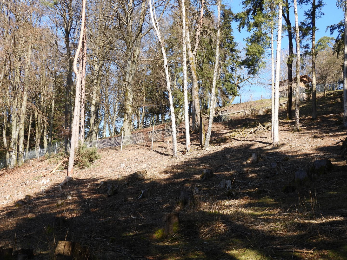 Tierpark Altenfelden - Wolf exhibit