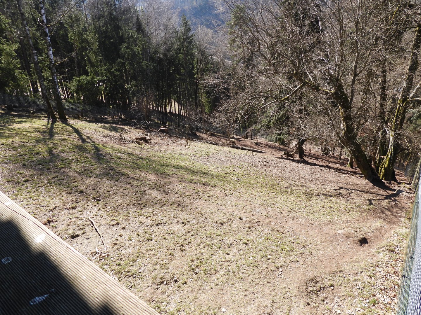 Tierpark Altenfelden - Wolf exhibit