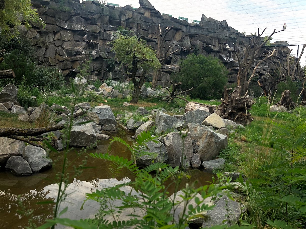 Tierpark Berlin- great vulture aviary- 2020
