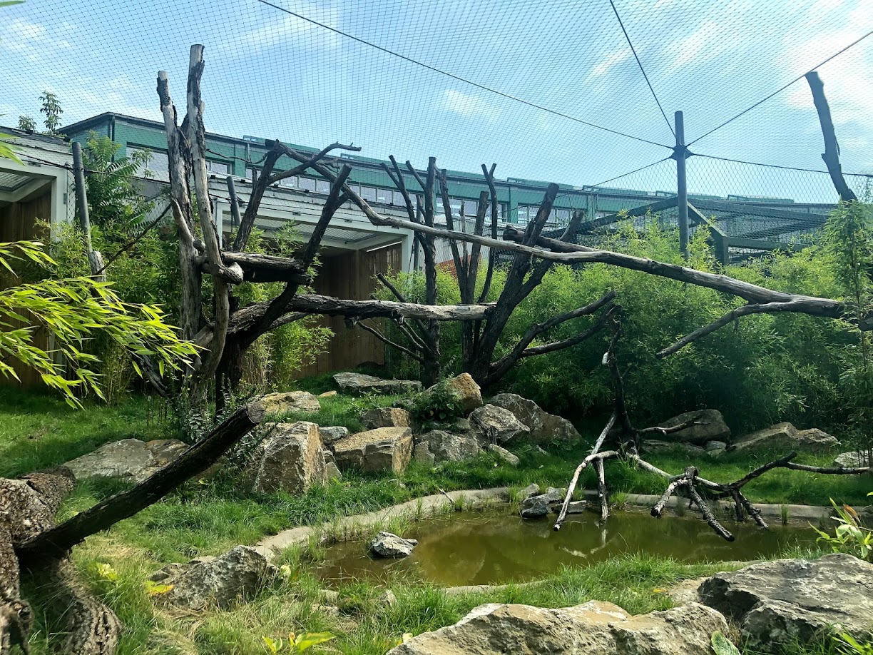 Tierpark Berlin- leopard enclosure- 2020