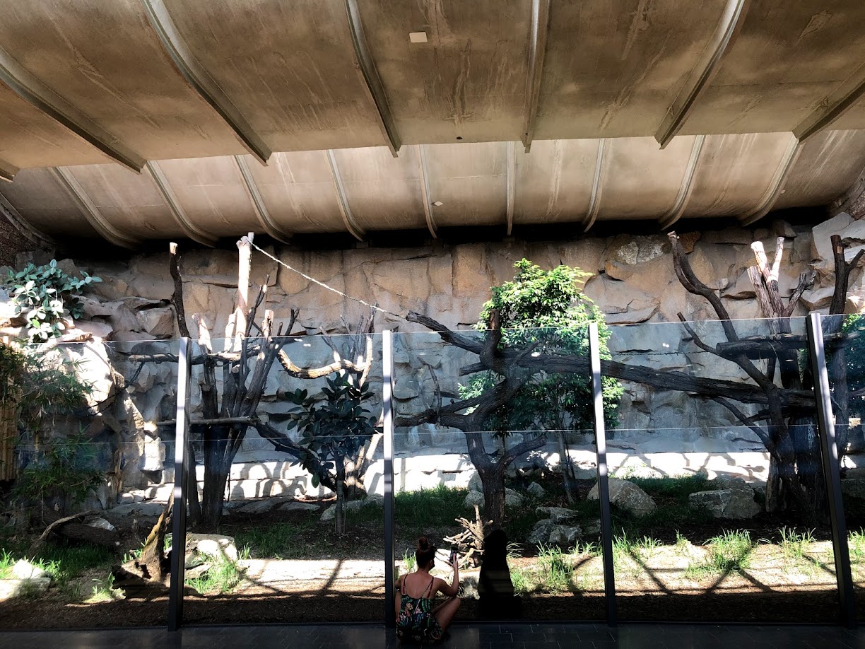 Tierpark Berlin- sun bear indoor enclosure- 2020