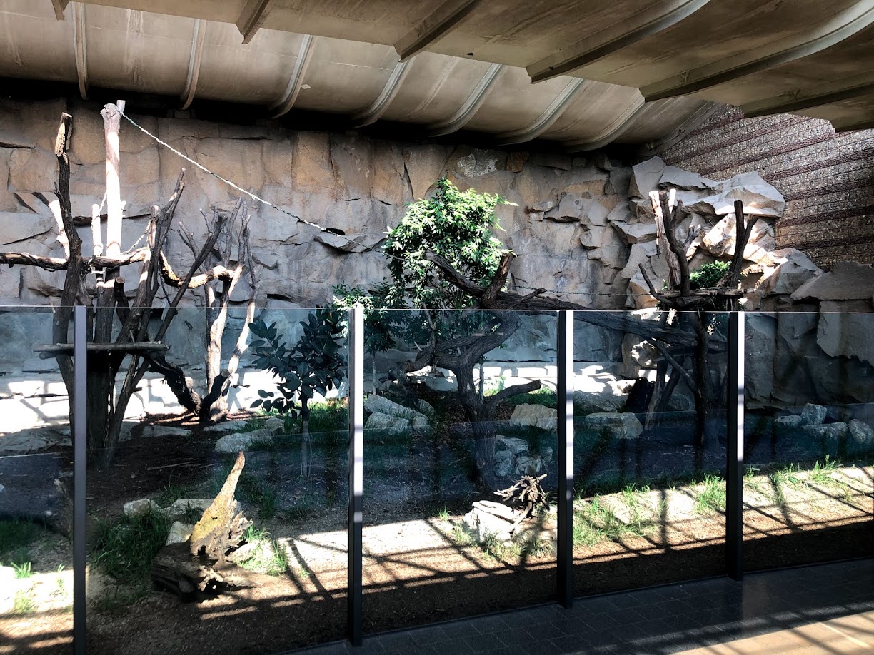 Tierpark Berlin- sun bear indoor enclosure. 2020