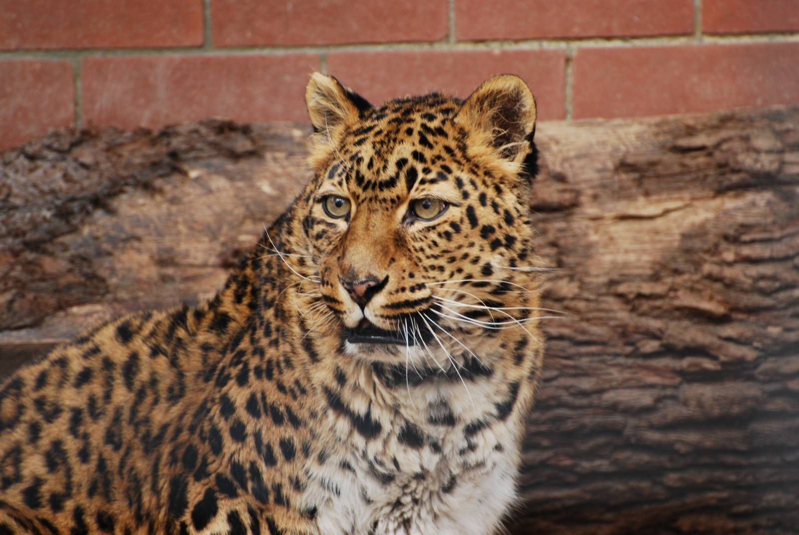 Tierpark Chemnitz - March 2008