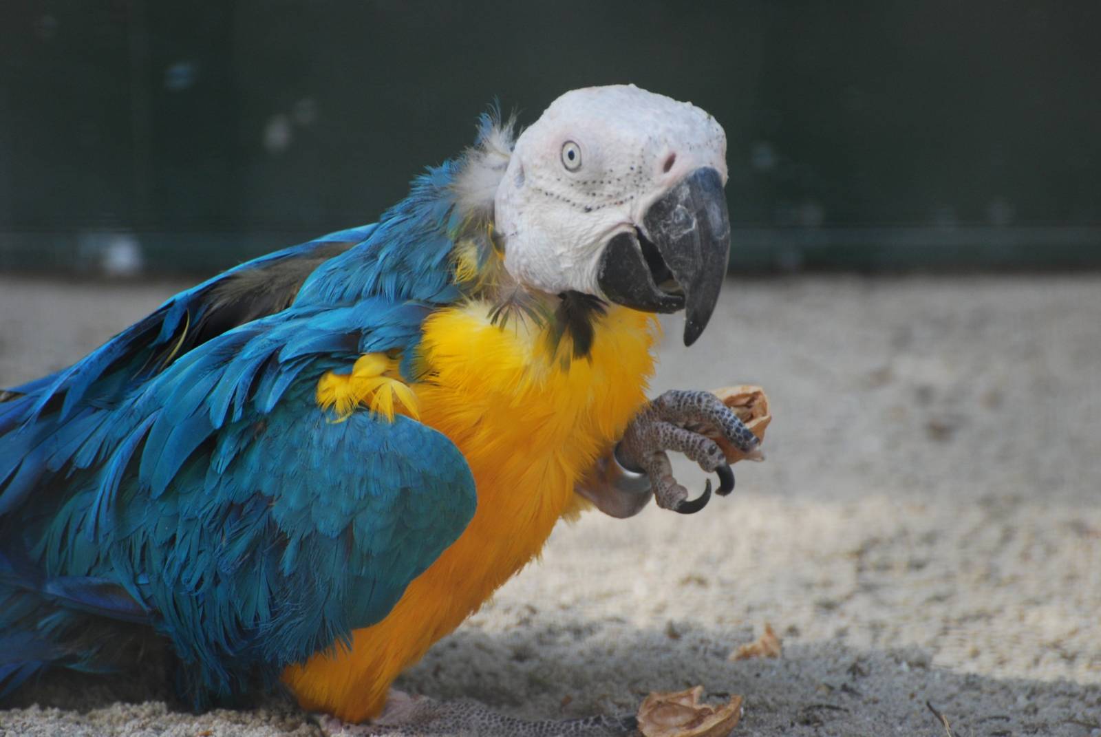 Tierpark Chemnitz - March 2008