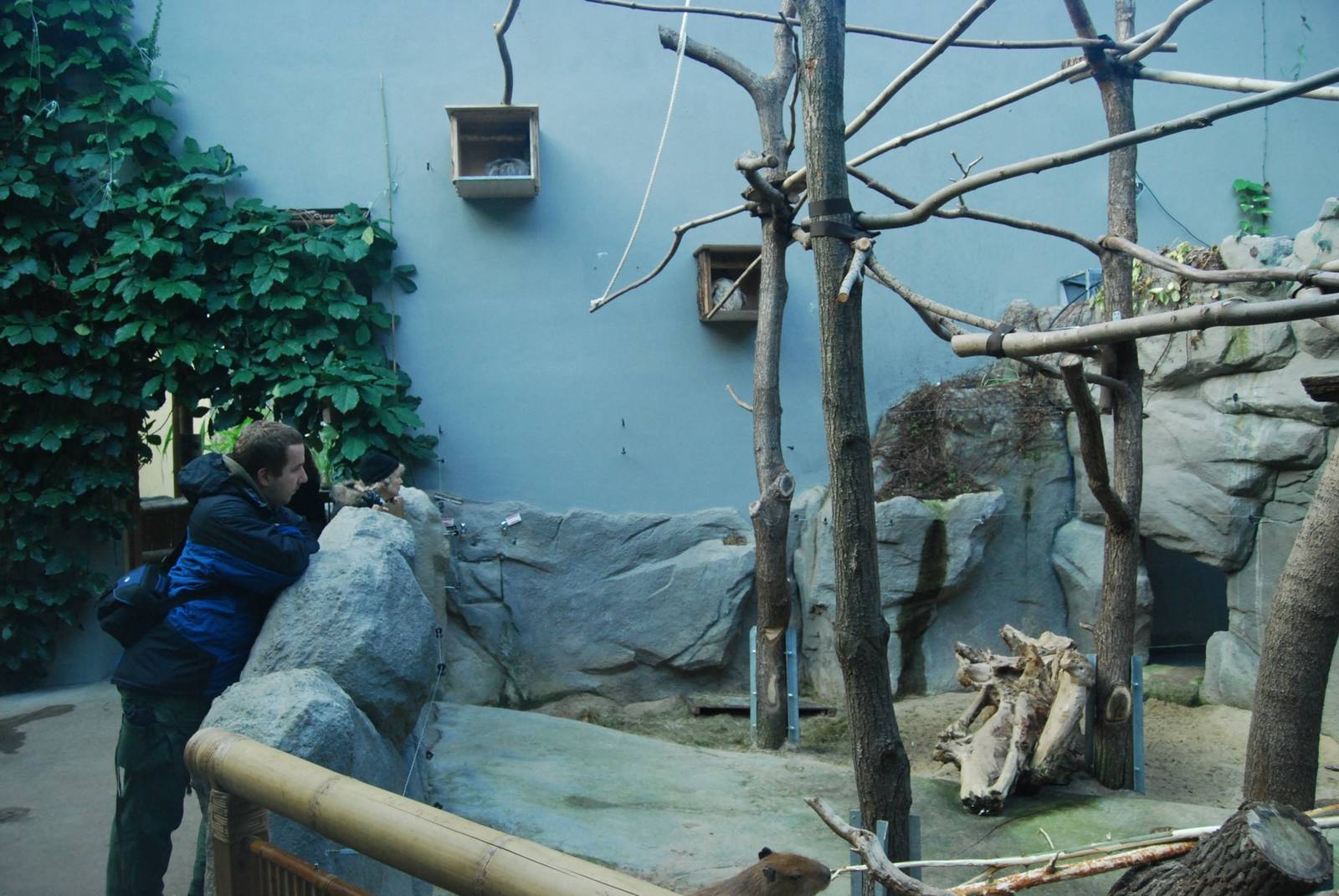 Tierpark Chemnitz - March 2008.