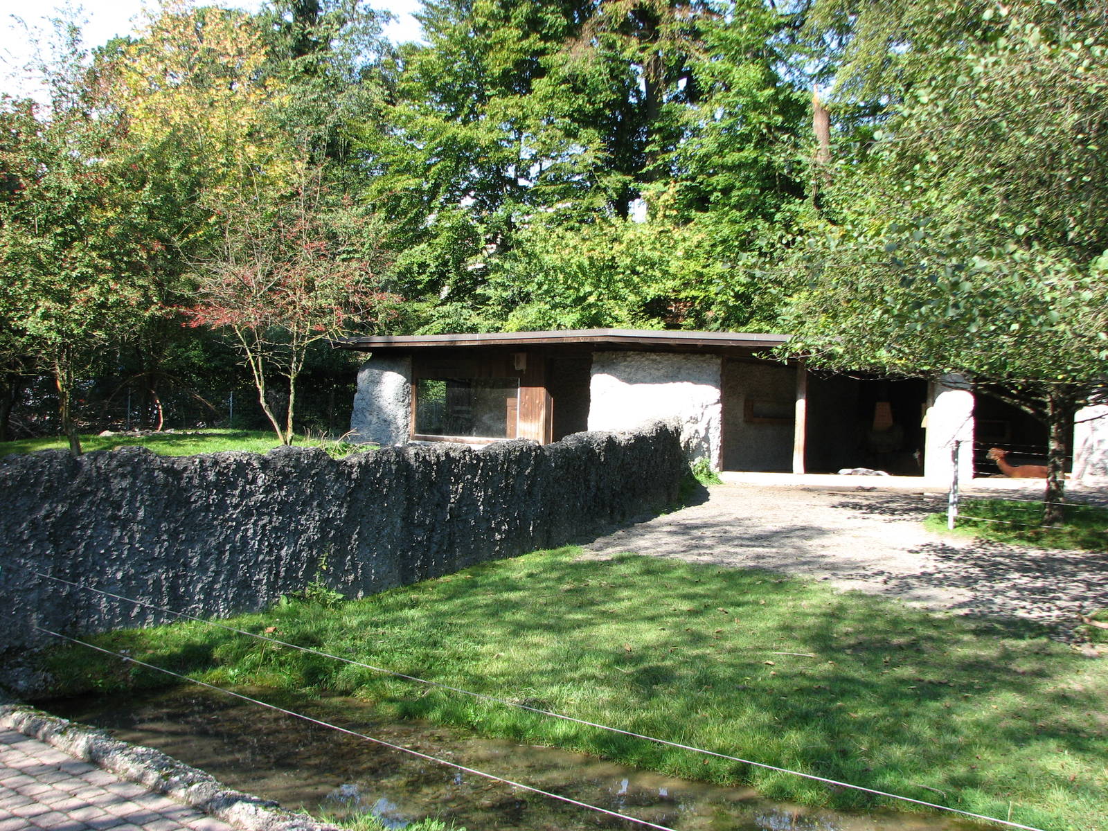 Tierpark Dählhölzli 2006 - Alpaca enclosure