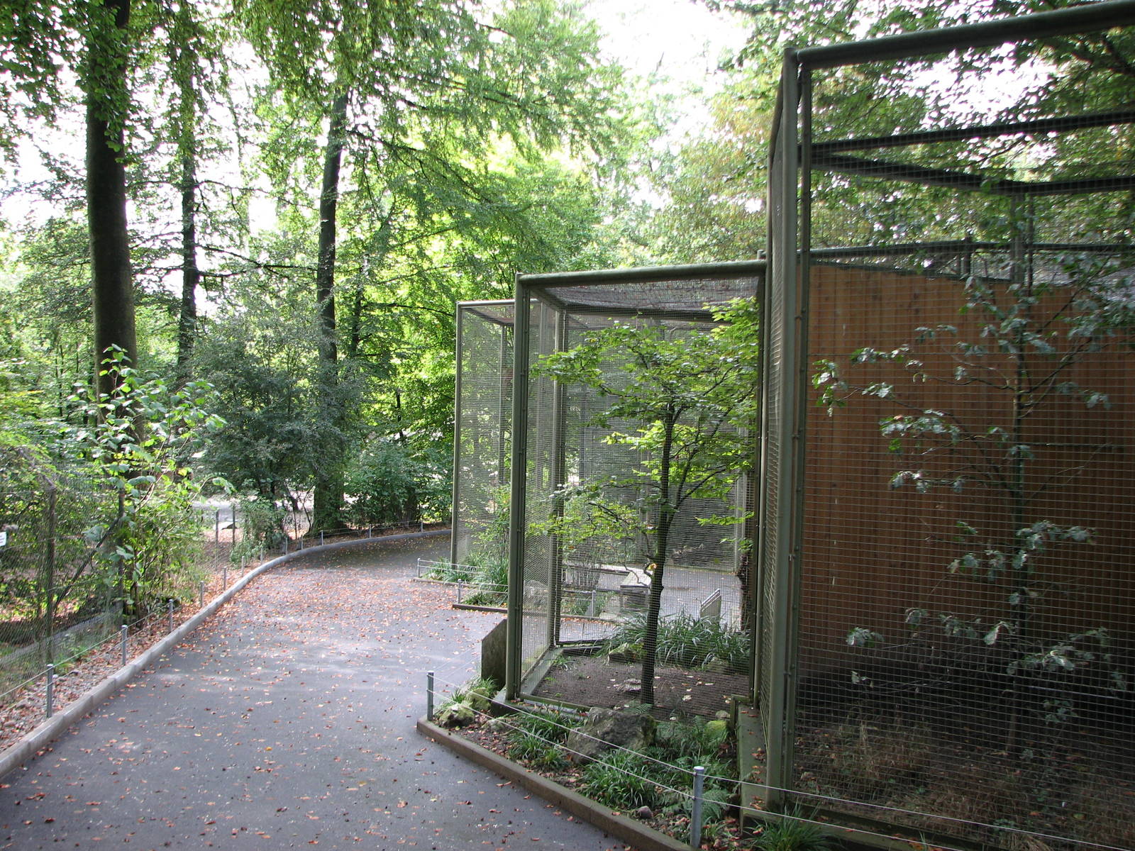 Tierpark Dählhölzli 2006 - Aviaries inside the Tierpark