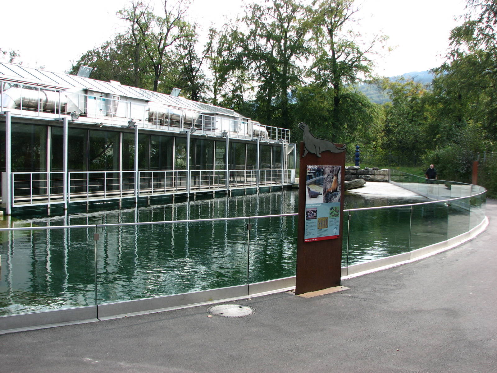 Tierpark Dählhölzli 2006 - Common Seal pool