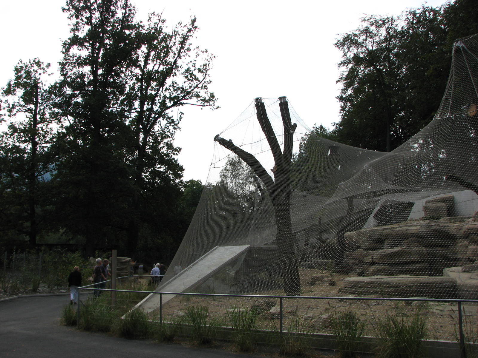 Tierpark Dählhölzli 2006 - Corner of the new Persian Leopard exhibit