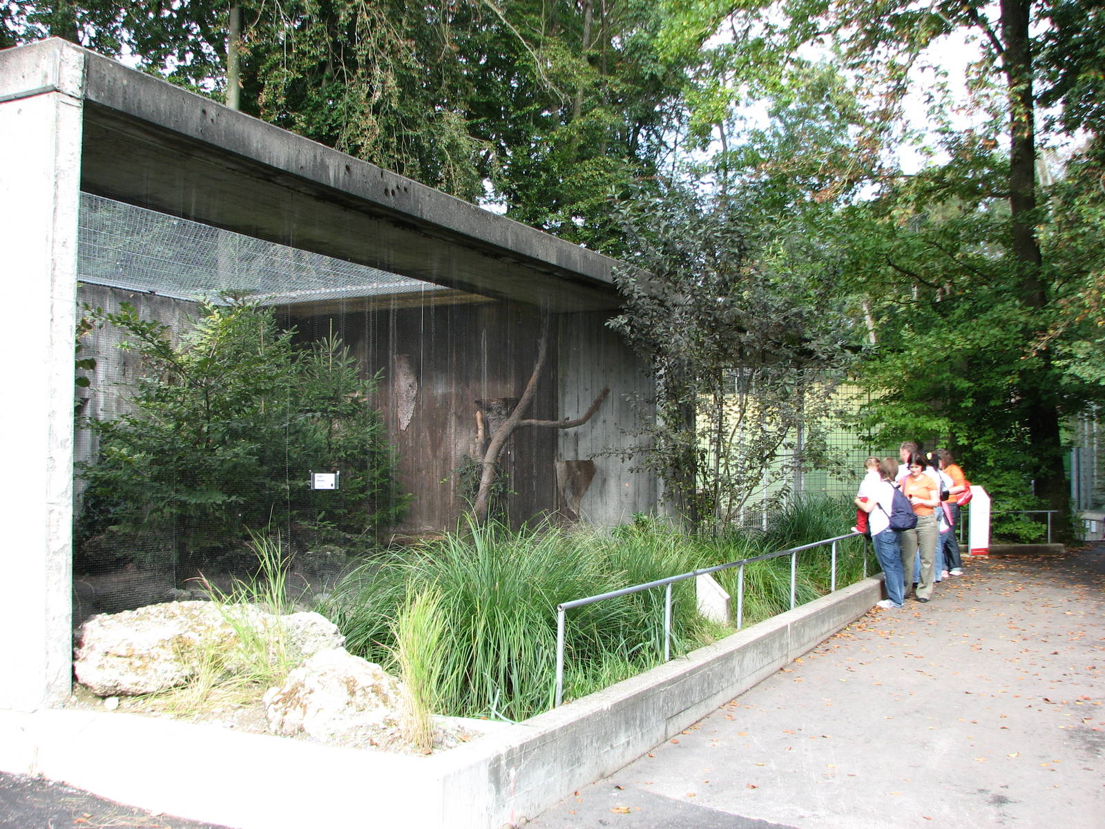 Tierpark Dählhölzli 2006 - European Wild Cat exhibit