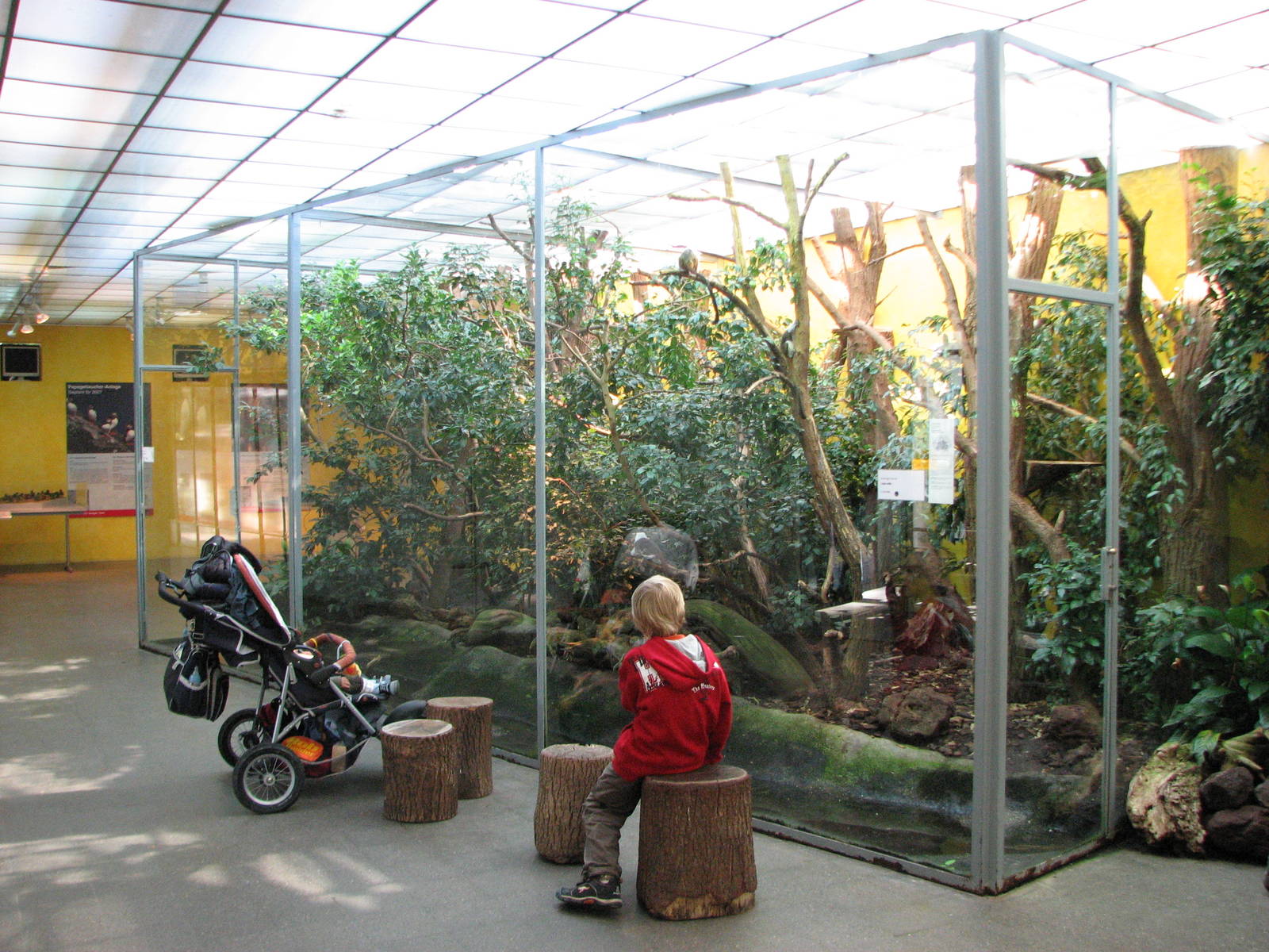 Tierpark Dählhölzli 2006 - Inside the Vivarium
