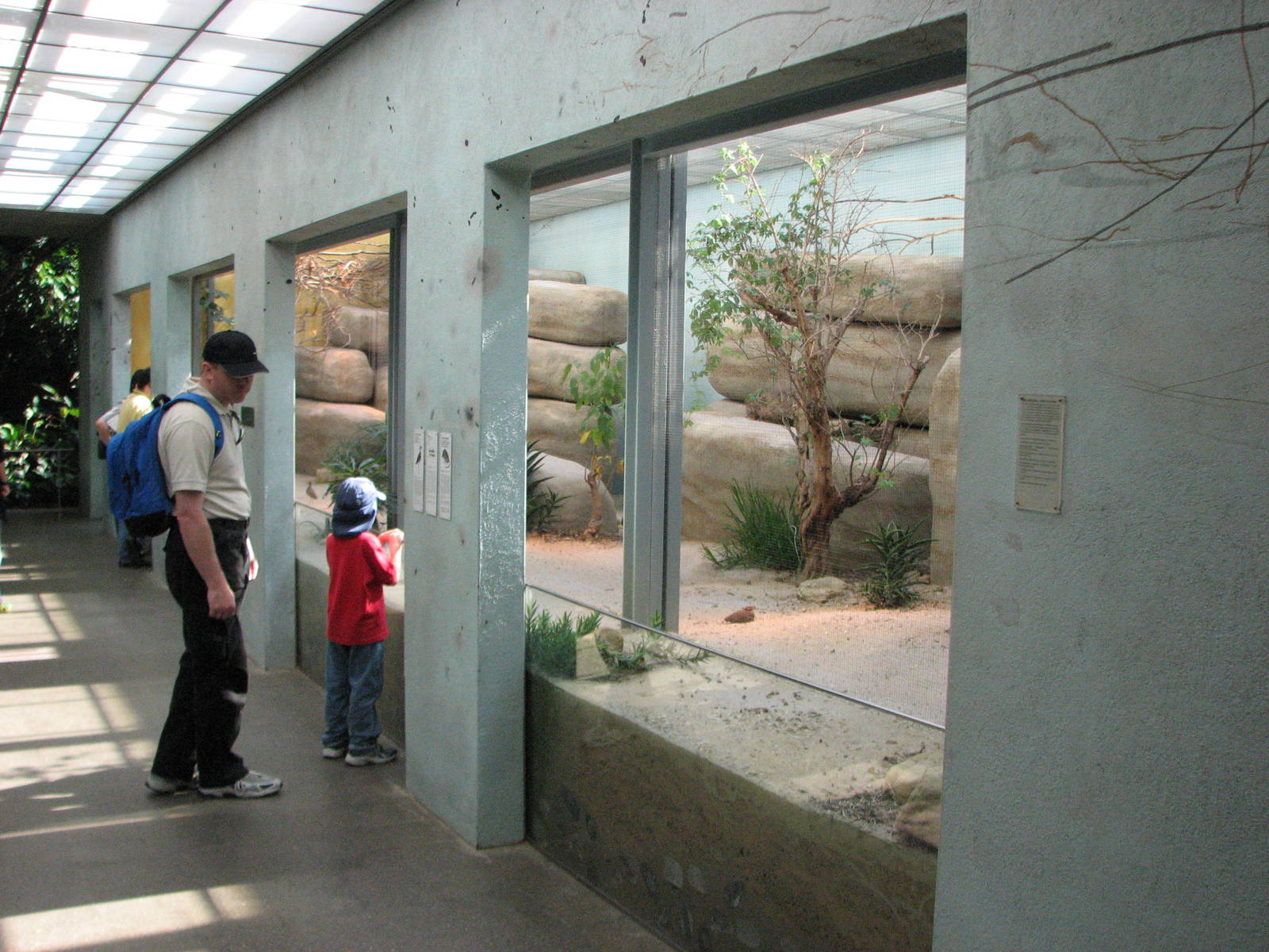 Tierpark Dählhölzli 2006 - Inside the Vivarium