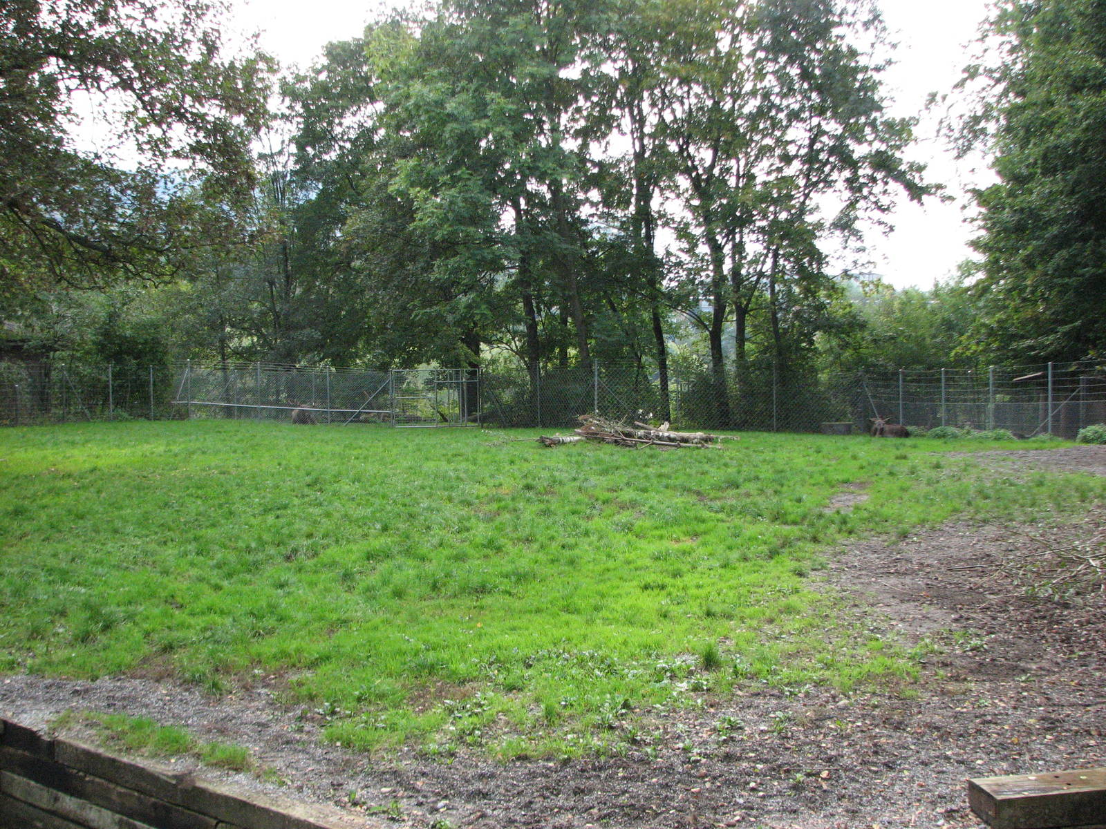 Tierpark Dählhölzli 2006 - Moose enclosure