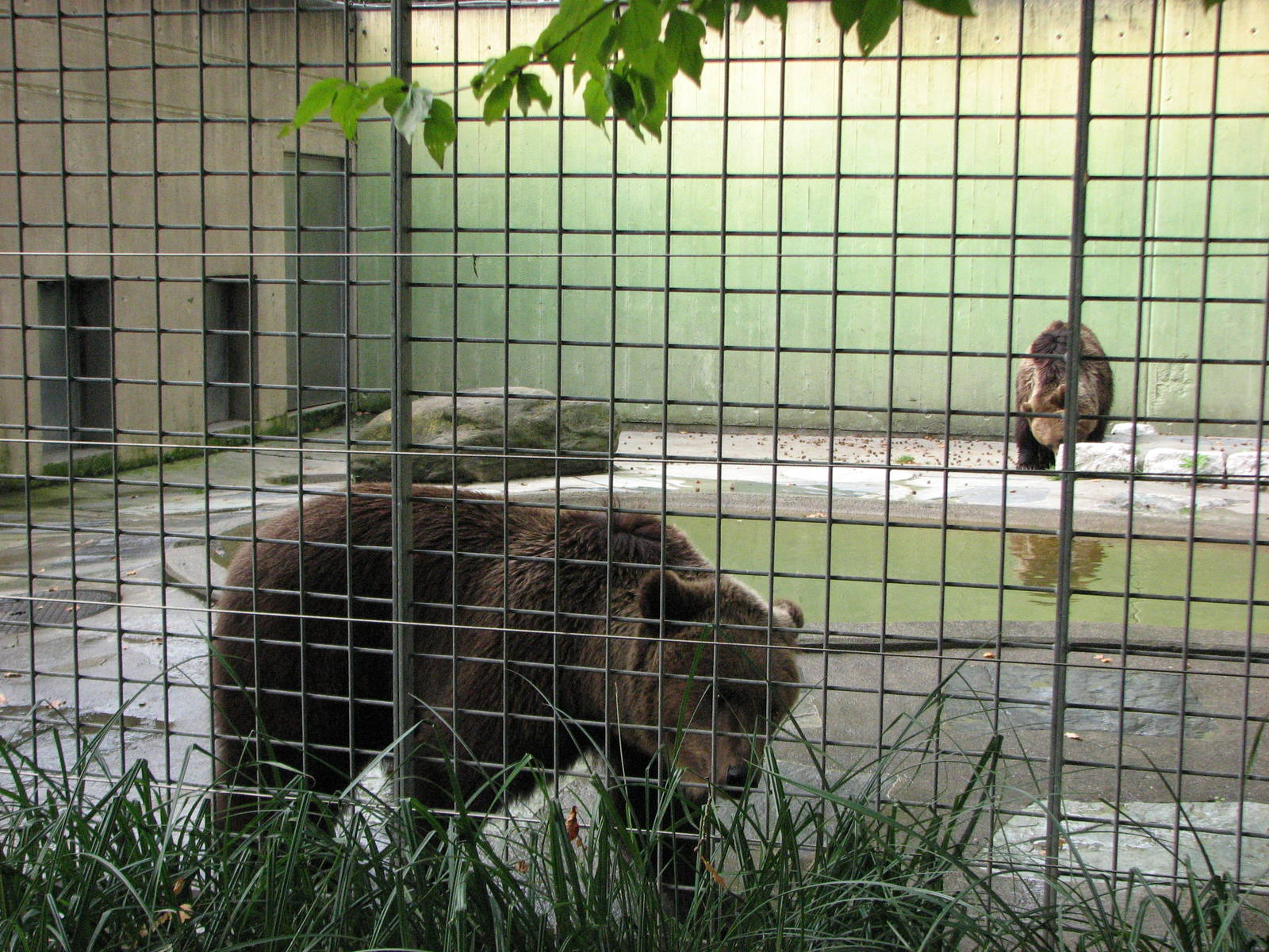 Tierpark Dählhölzli 2006 - Off-exhibit Brown Bear facility