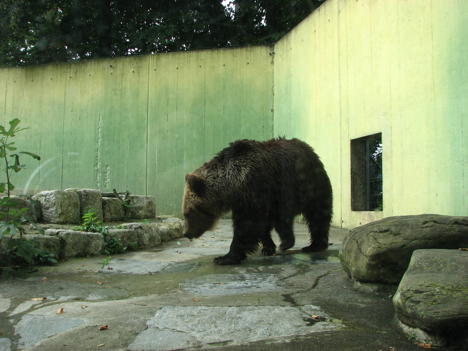 Tierpark Dählhölzli 2006 - Off-exhibit Brown Bear facility