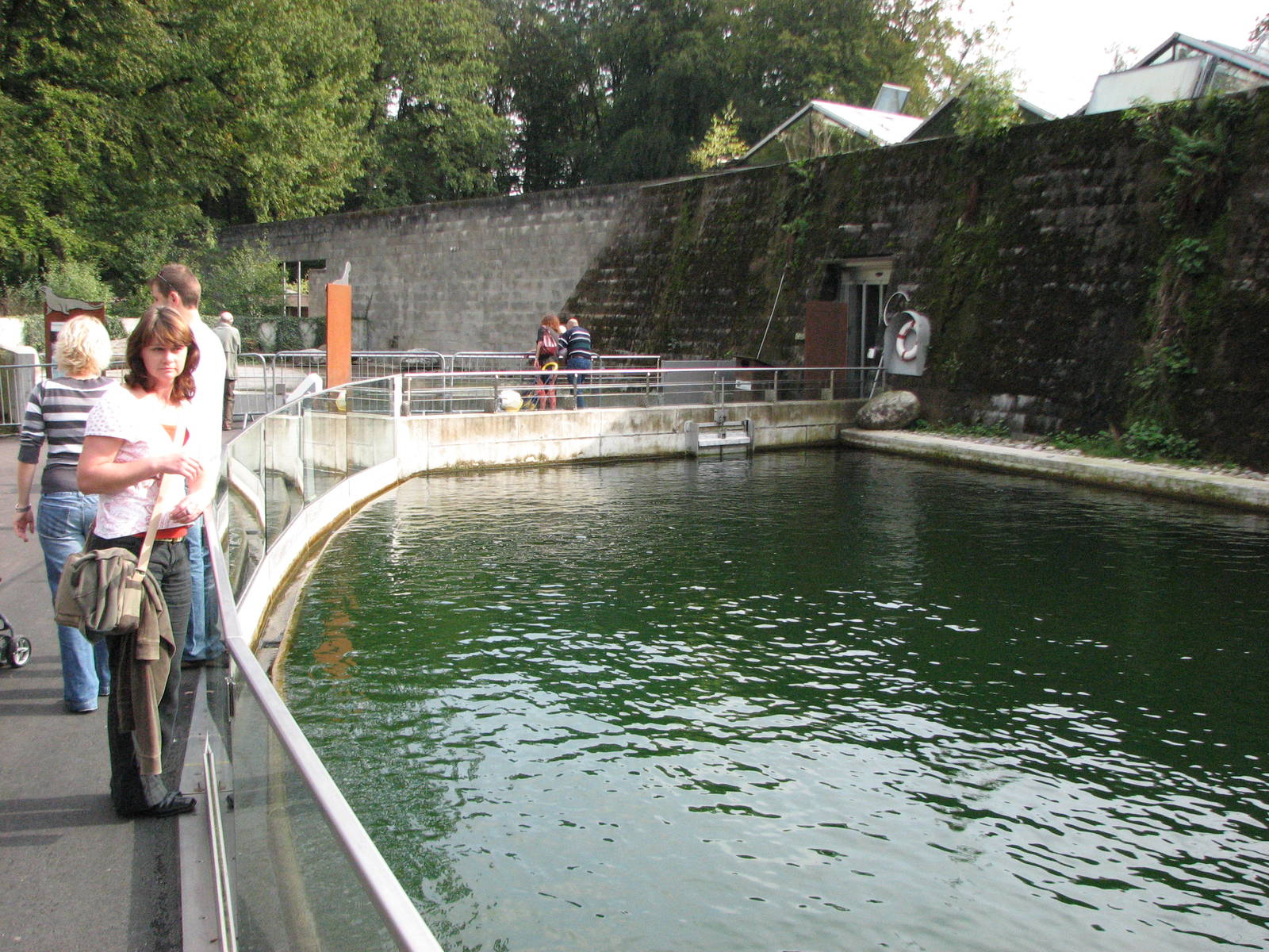 Tierpark Dählhölzli 2006 - One of the Common Seal pools