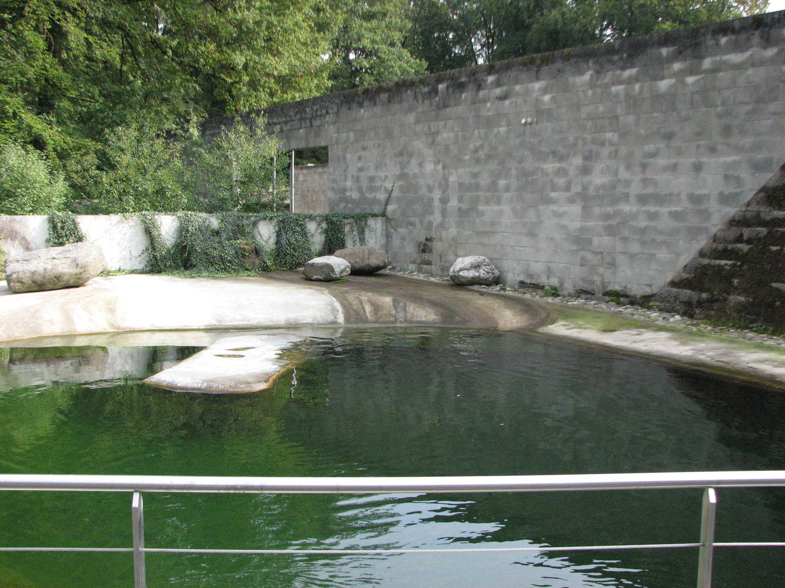 Tierpark Dählhölzli 2006 - One of the Common Seal pools