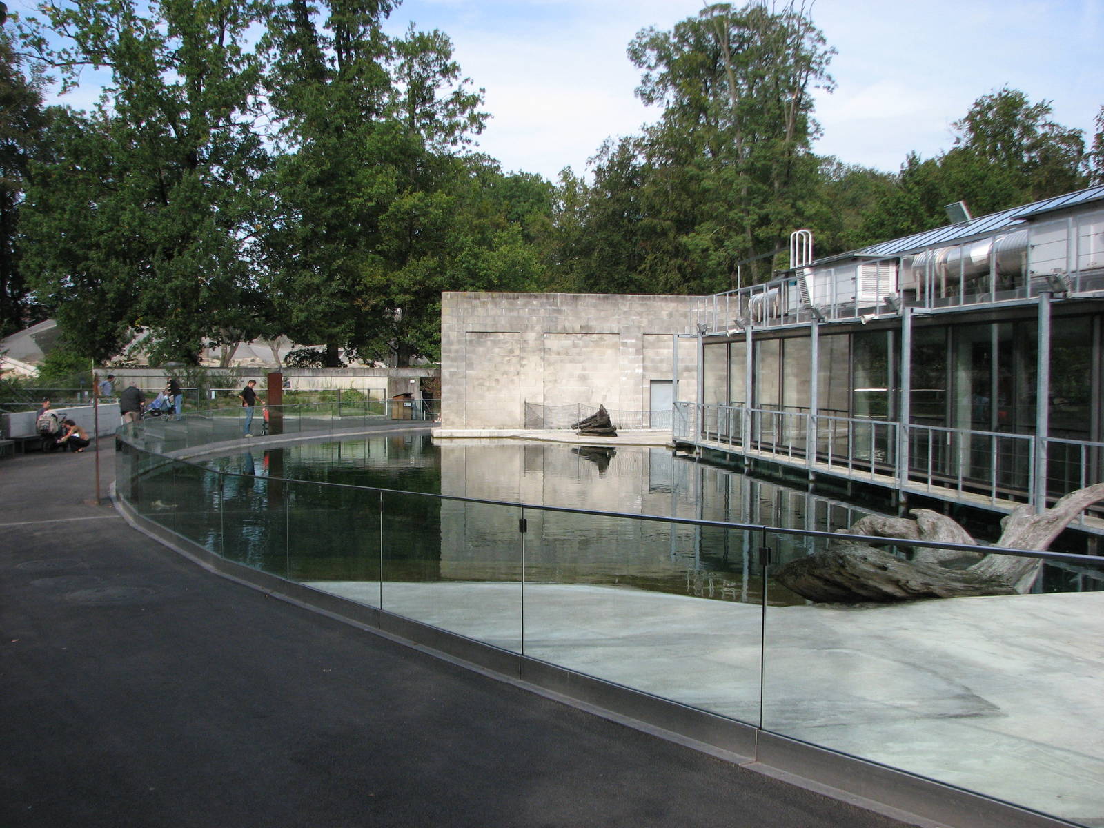 Tierpark Dählhölzli 2006 - Other Common Seal pool