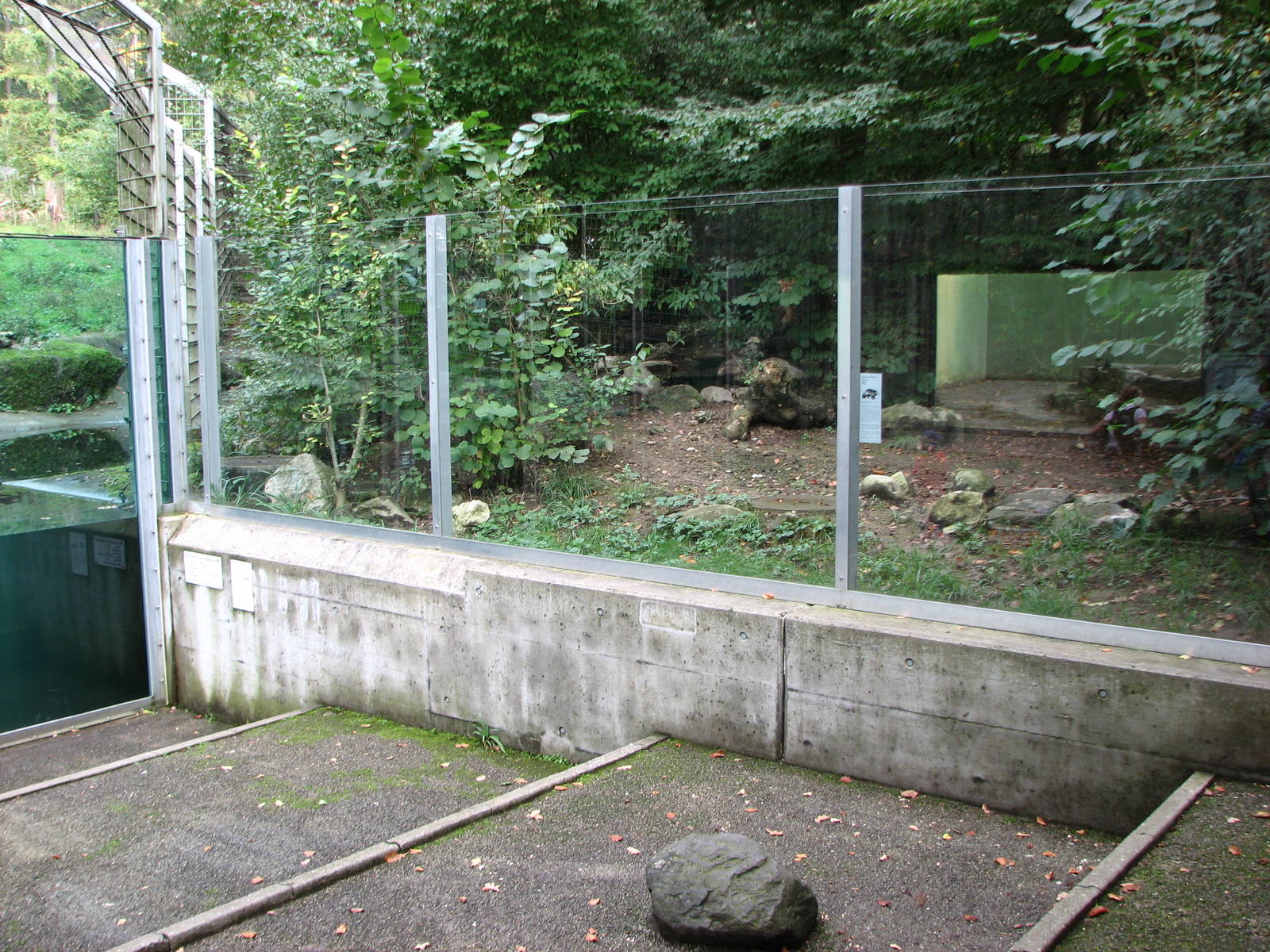 Tierpark Dählhölzli 2006 - Wolverine exhibit next to the Brown Bear exhibit