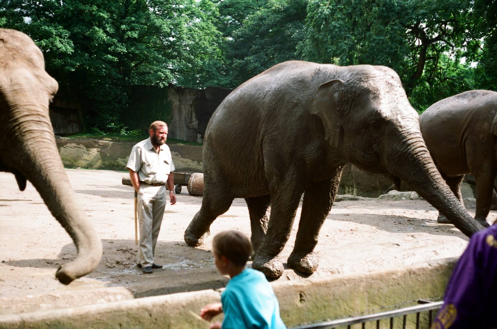 Tierpark Hagenbeck 1991 - Elephants and keeper