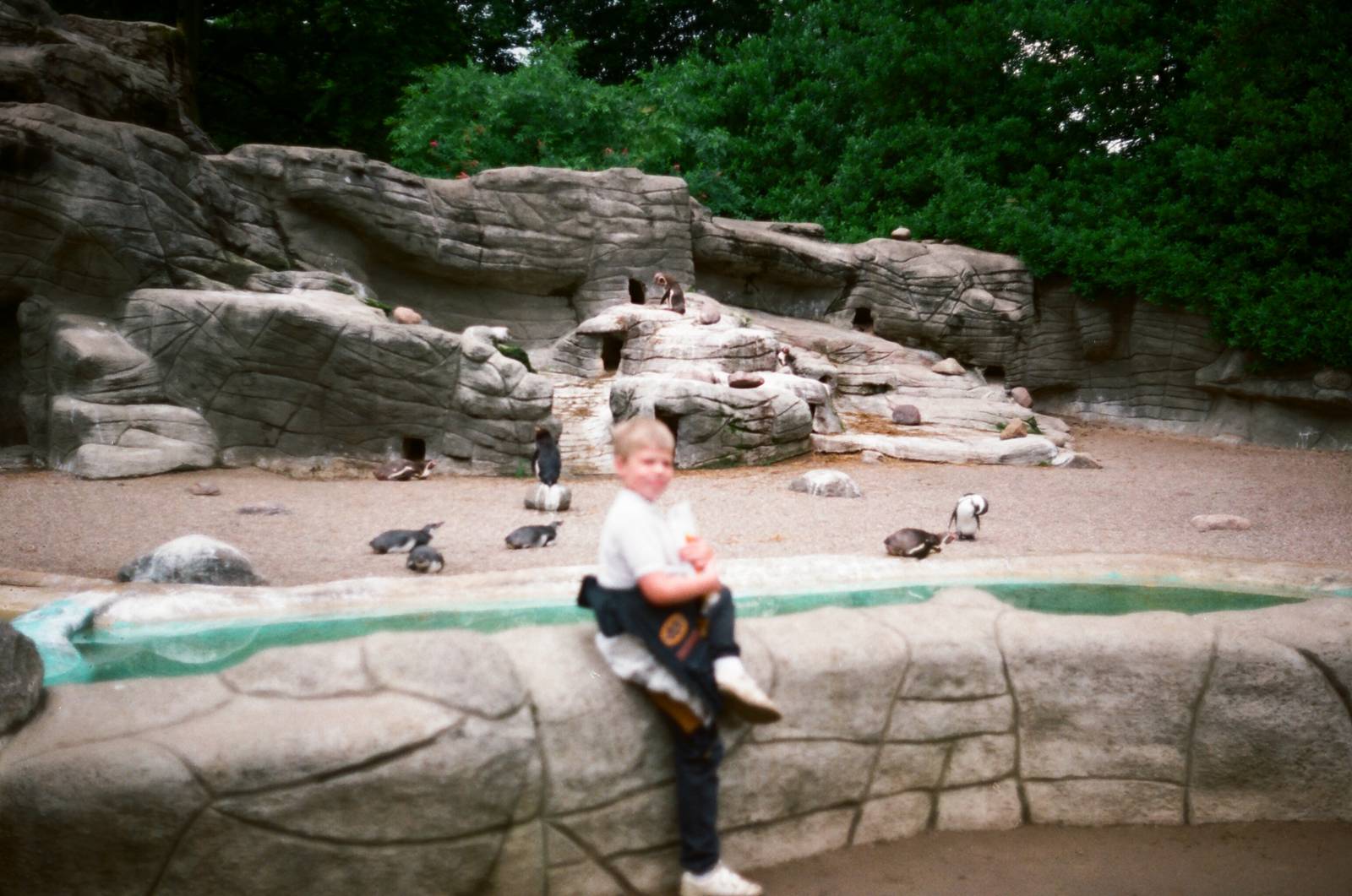 Tierpark Hagenbeck 1991 - Penguin exhibit