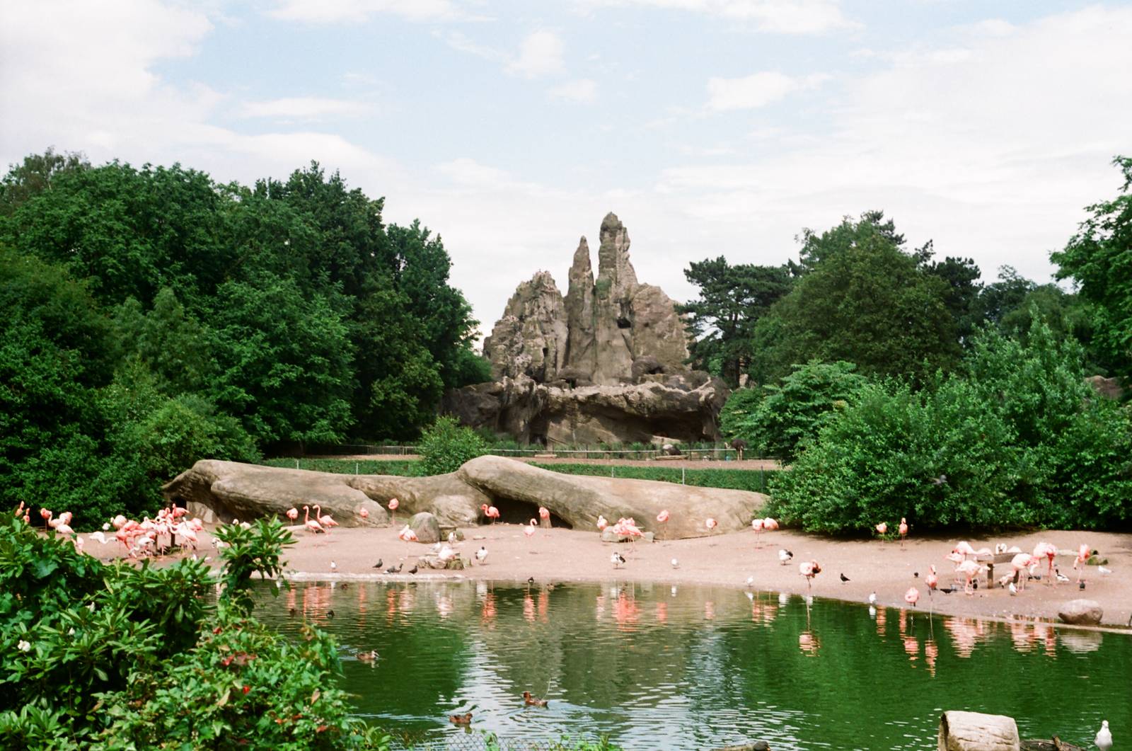 Tierpark Hagenbeck 1991 - The most famous Hagenbeck scene