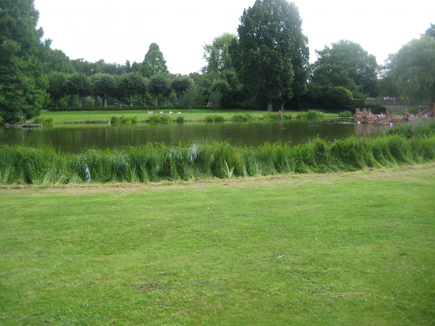 Tierpark Hagenbeck - Birma-Teich