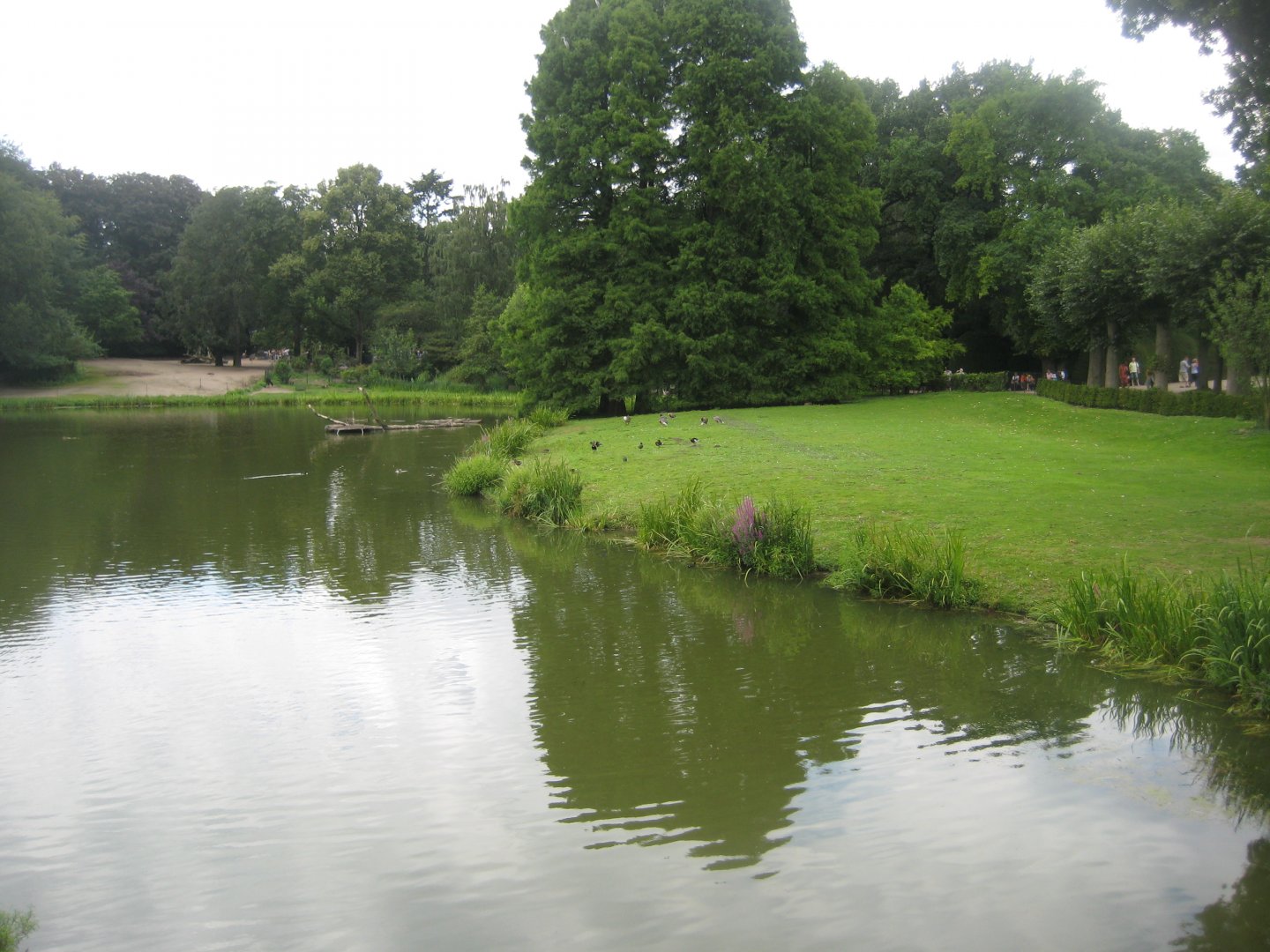 Tierpark Hagenbeck - Birma-Teich
