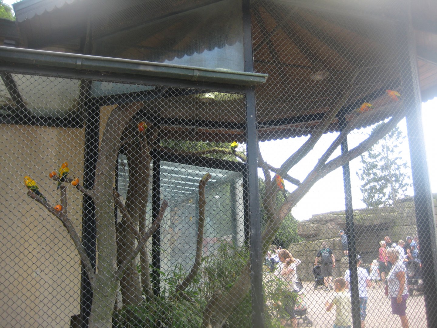 Tierpark Hagenbeck - Conure aviary