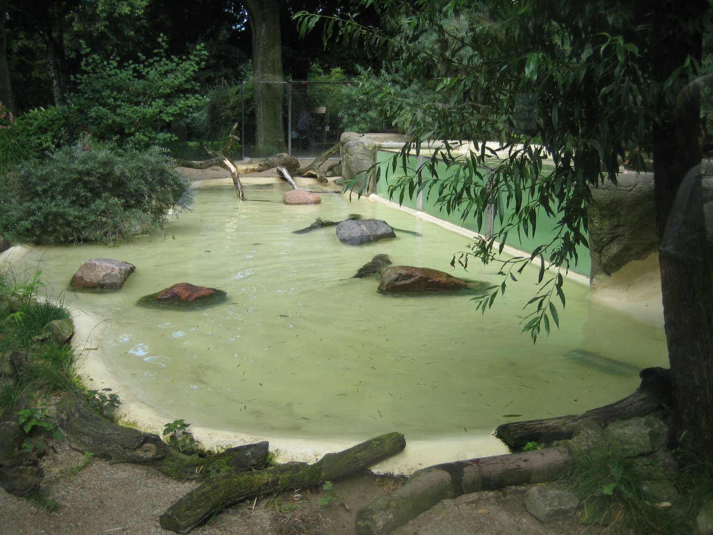 Tierpark Hagenbeck - Giant otter exhibit