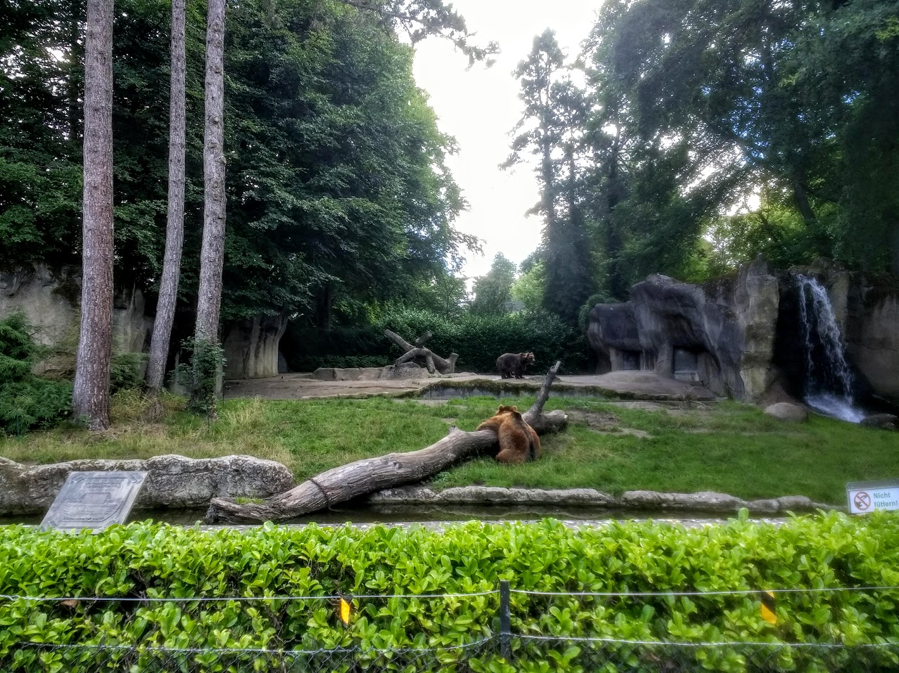 Tierpark Hagenbeck- kamchatka bear enclosure- 2020