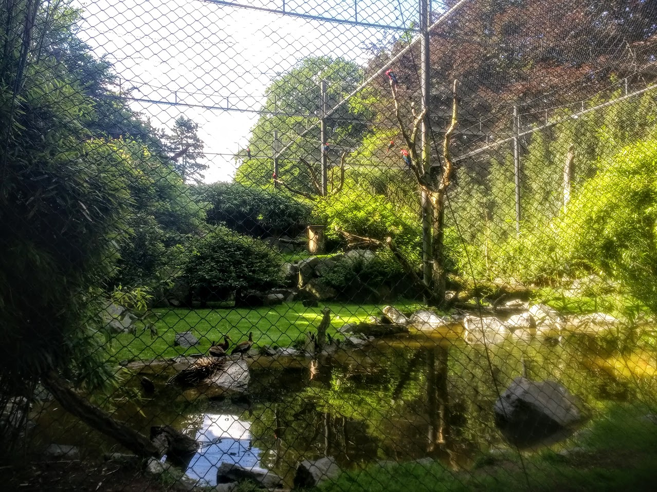 Tierpark Hagenbeck- macaw aviary- 2020