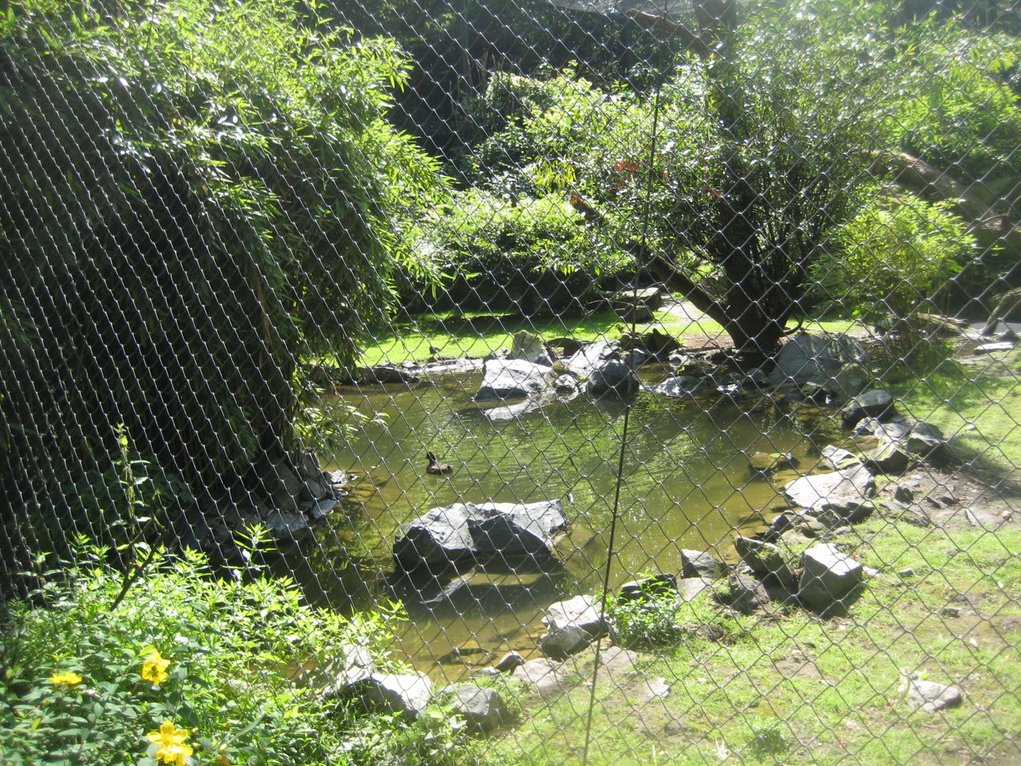 Tierpark Hagenbeck - Macaw aviary
