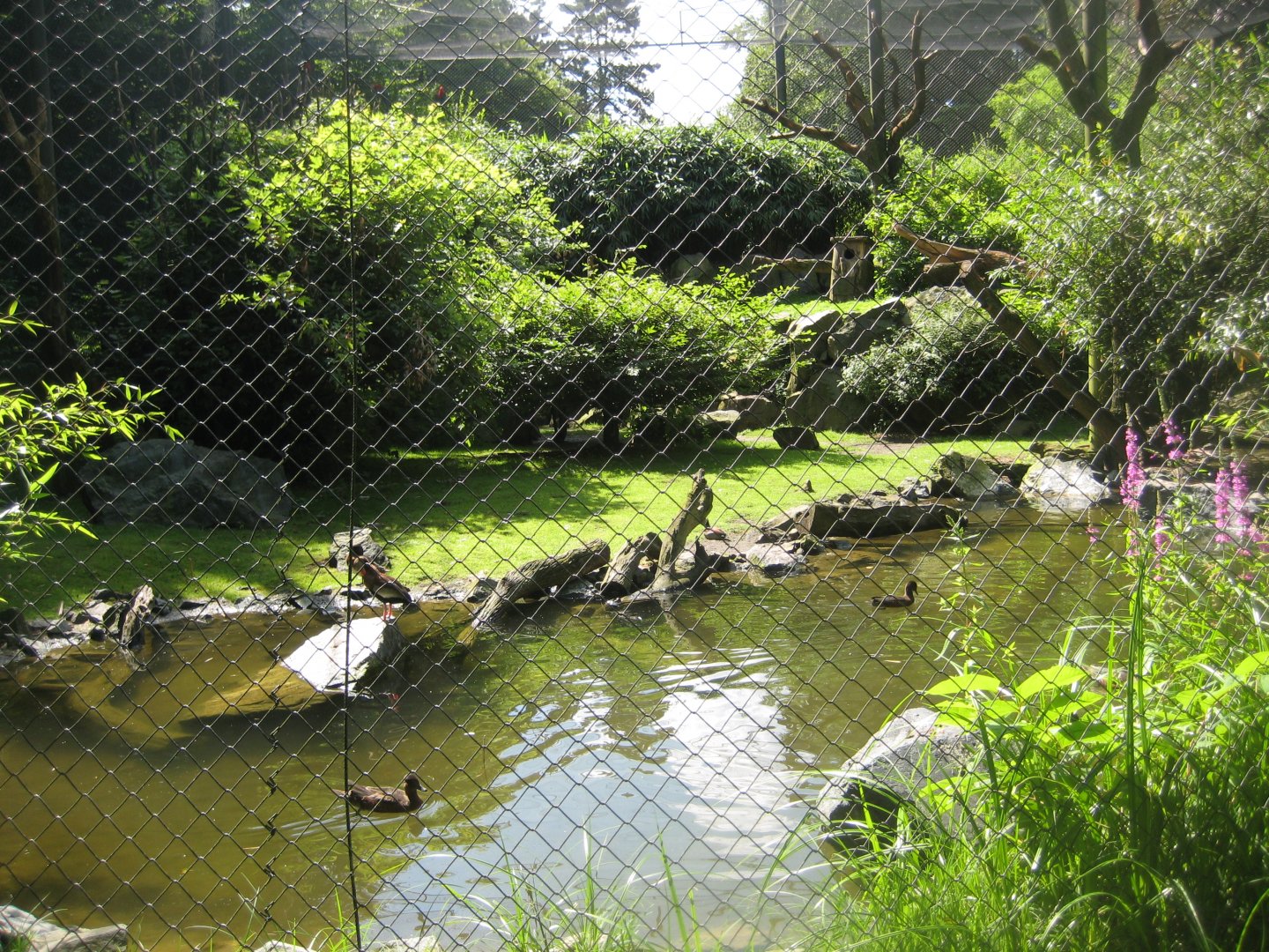 Tierpark Hagenbeck - Macaw aviary