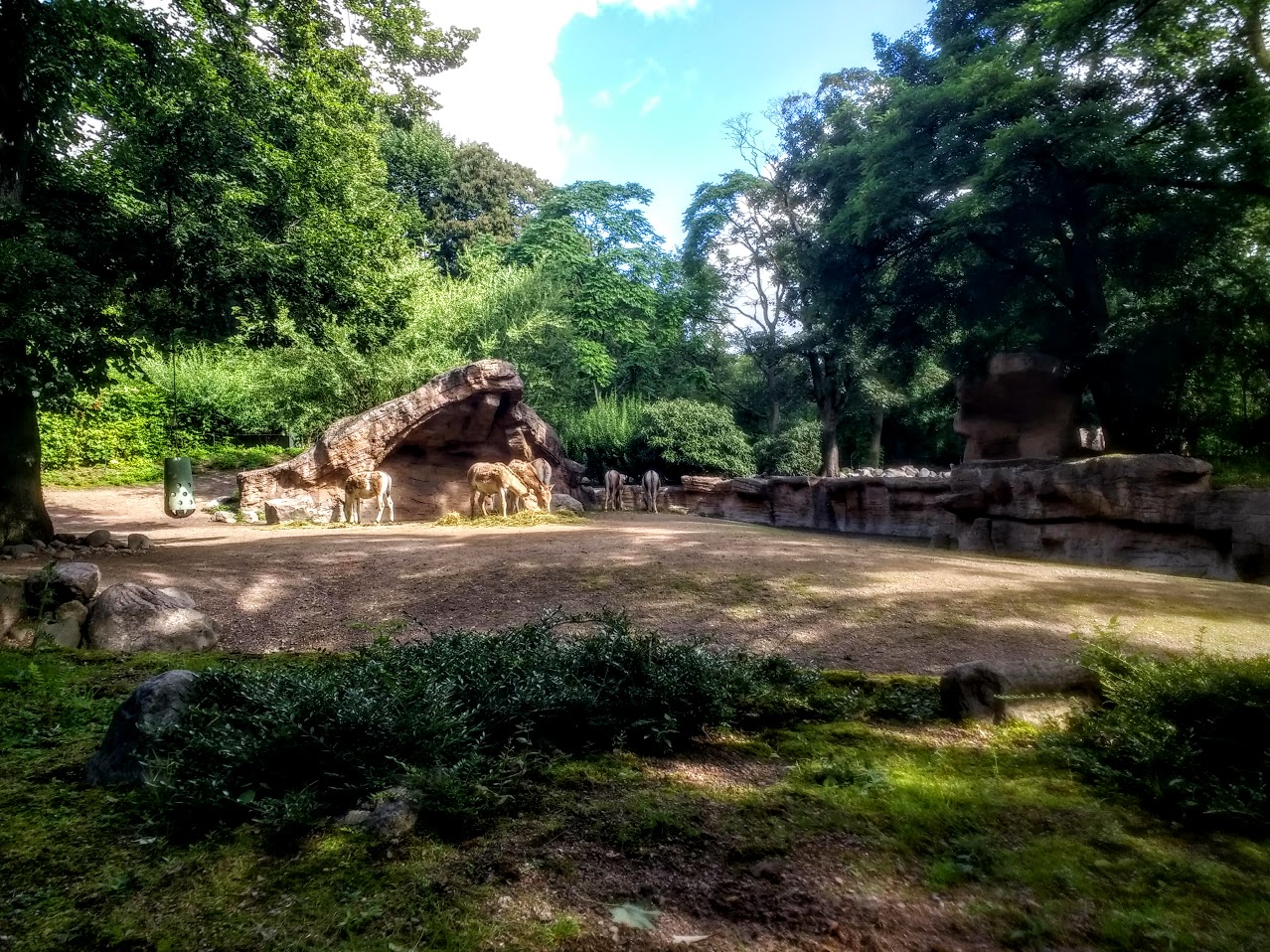 Tierpark Hagenbeck- onager enclosure- 2020